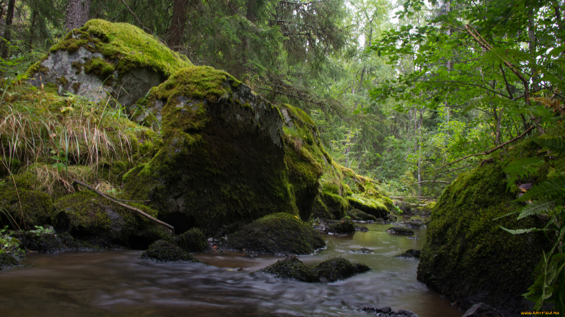 природа, реки, озера, простор