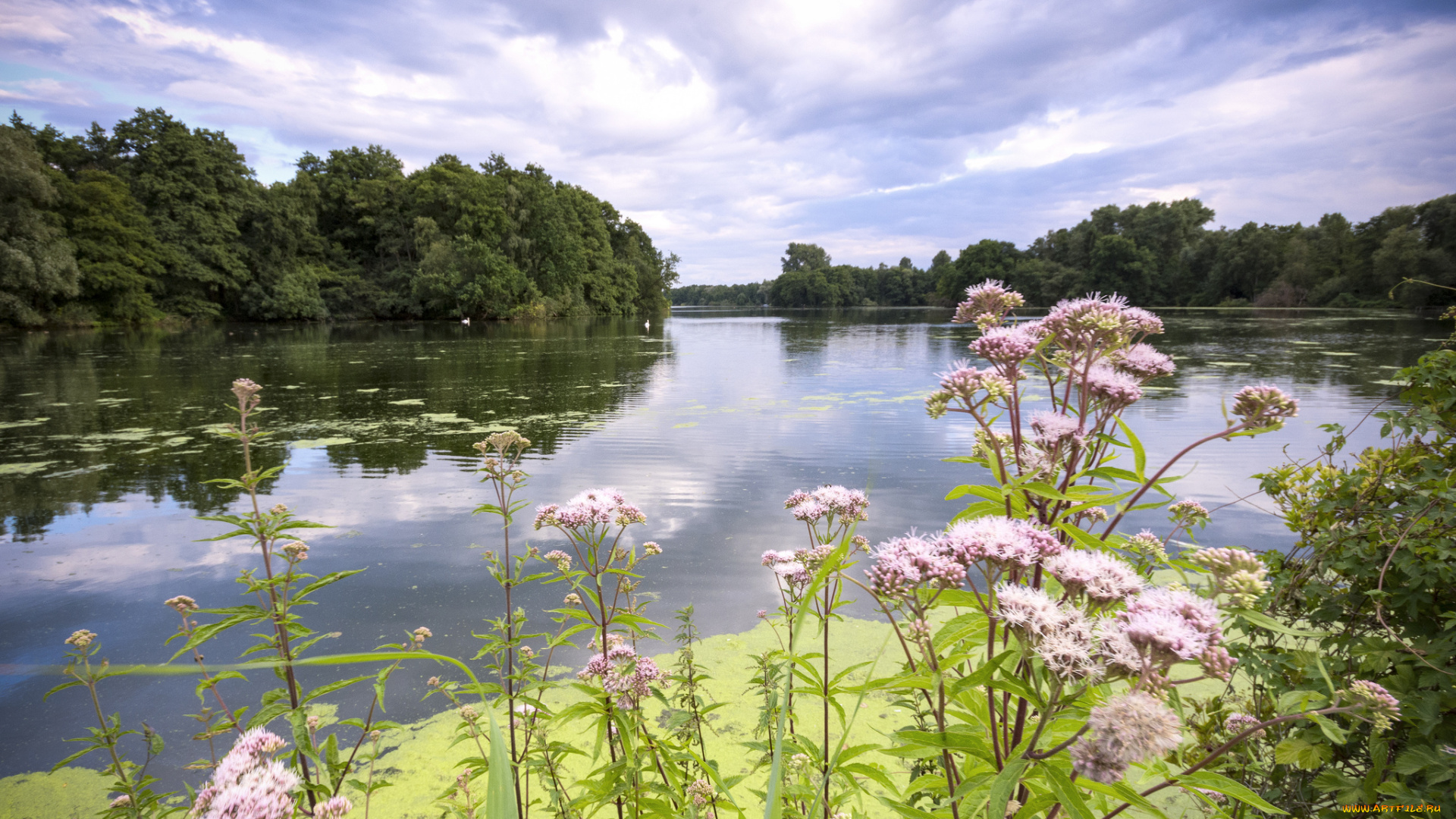 природа, реки, озера, простор