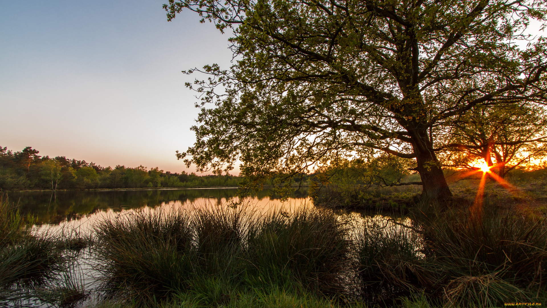 природа, реки, озера, простор
