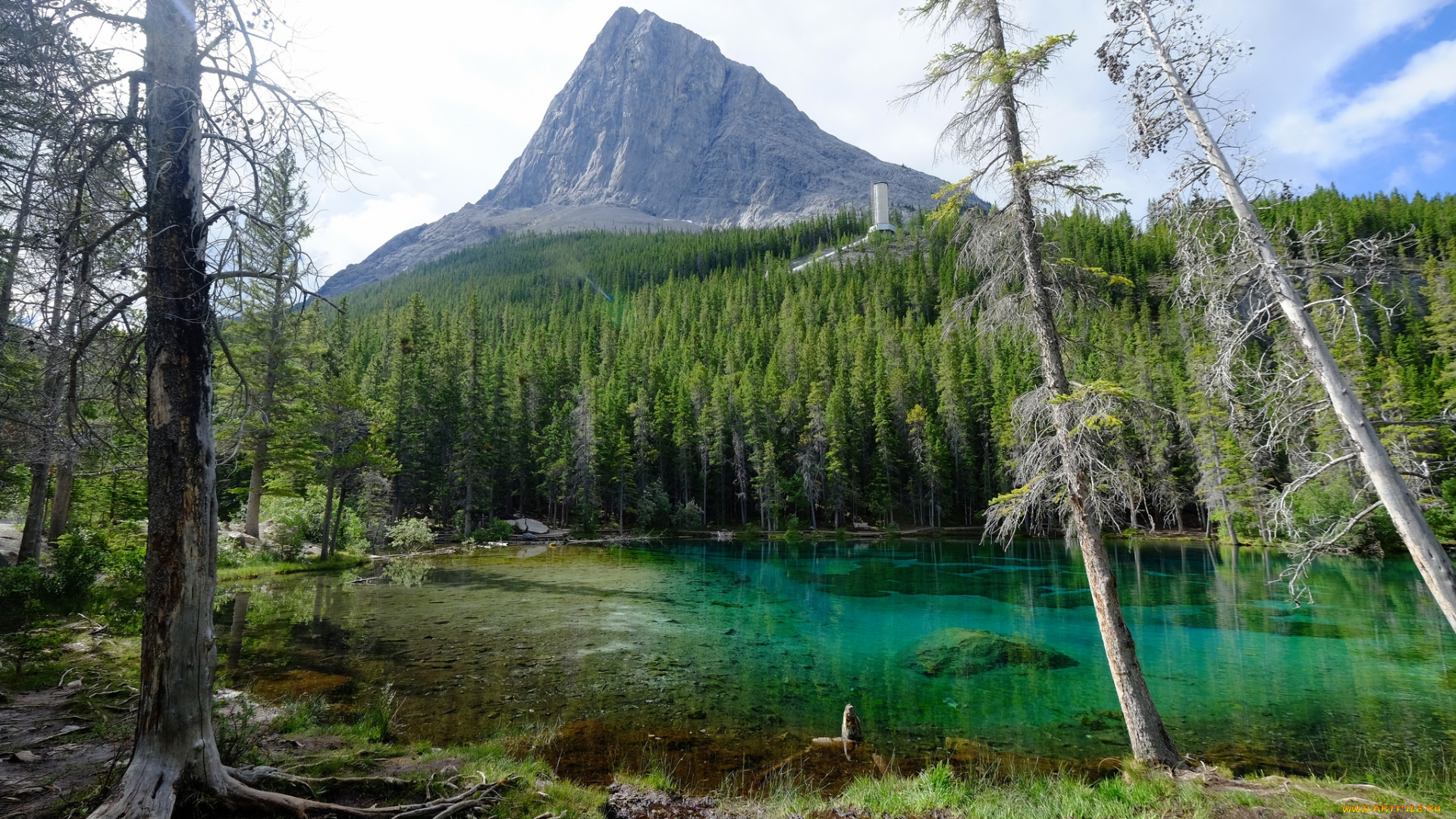 природа, реки, озера, простор