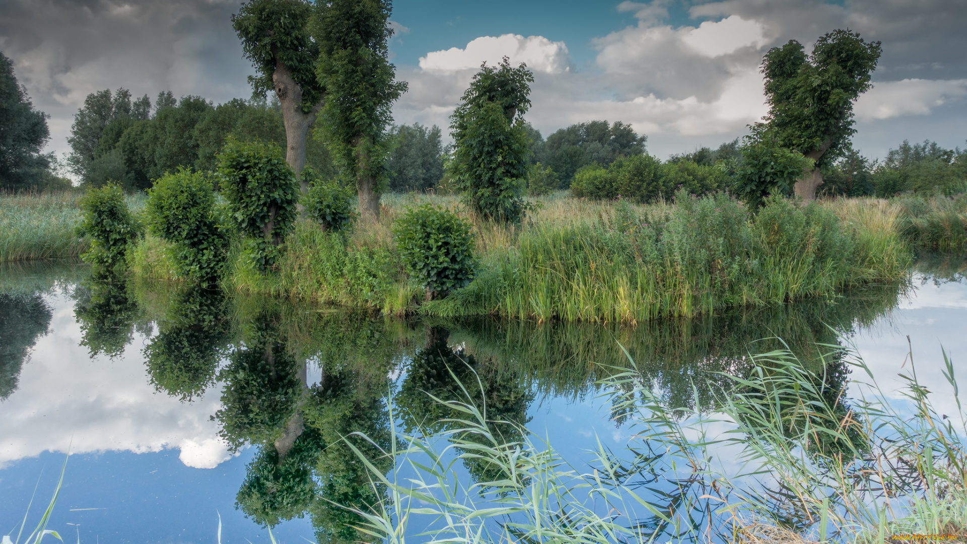 природа, реки, озера, простор