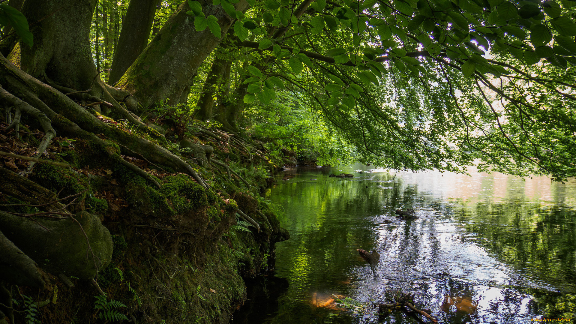 природа, реки, озера, простор