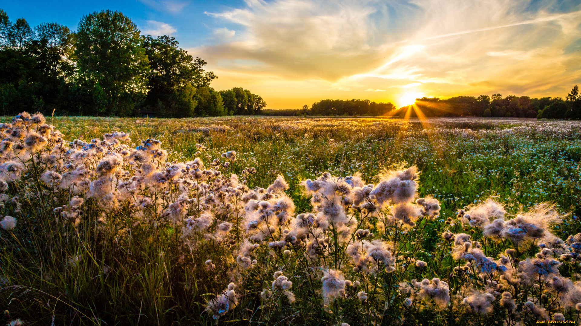 природа, восходы, закаты, простор