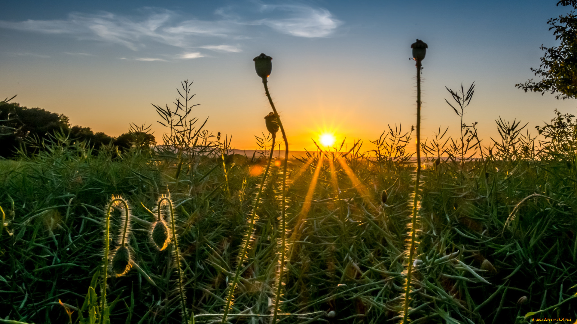 природа, восходы, закаты, простор