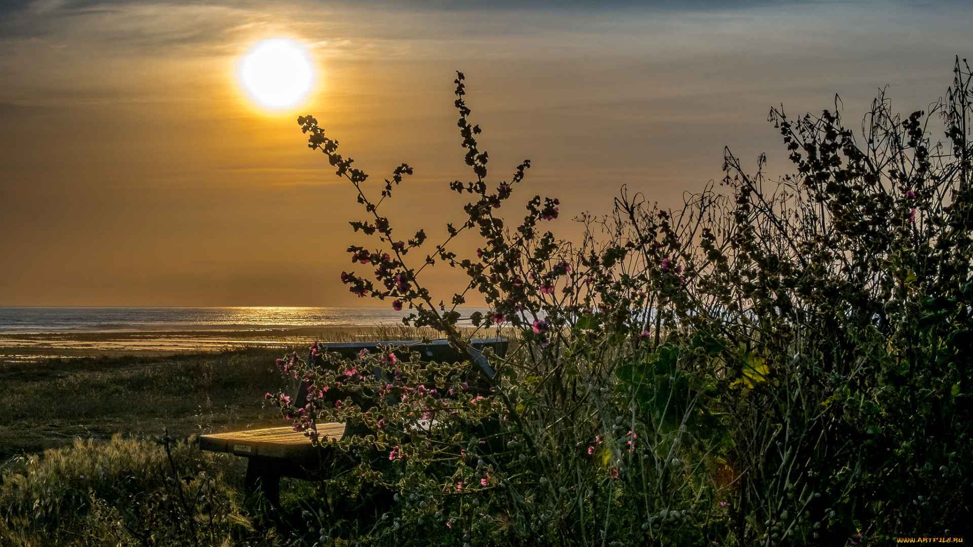 природа, восходы, закаты, простор