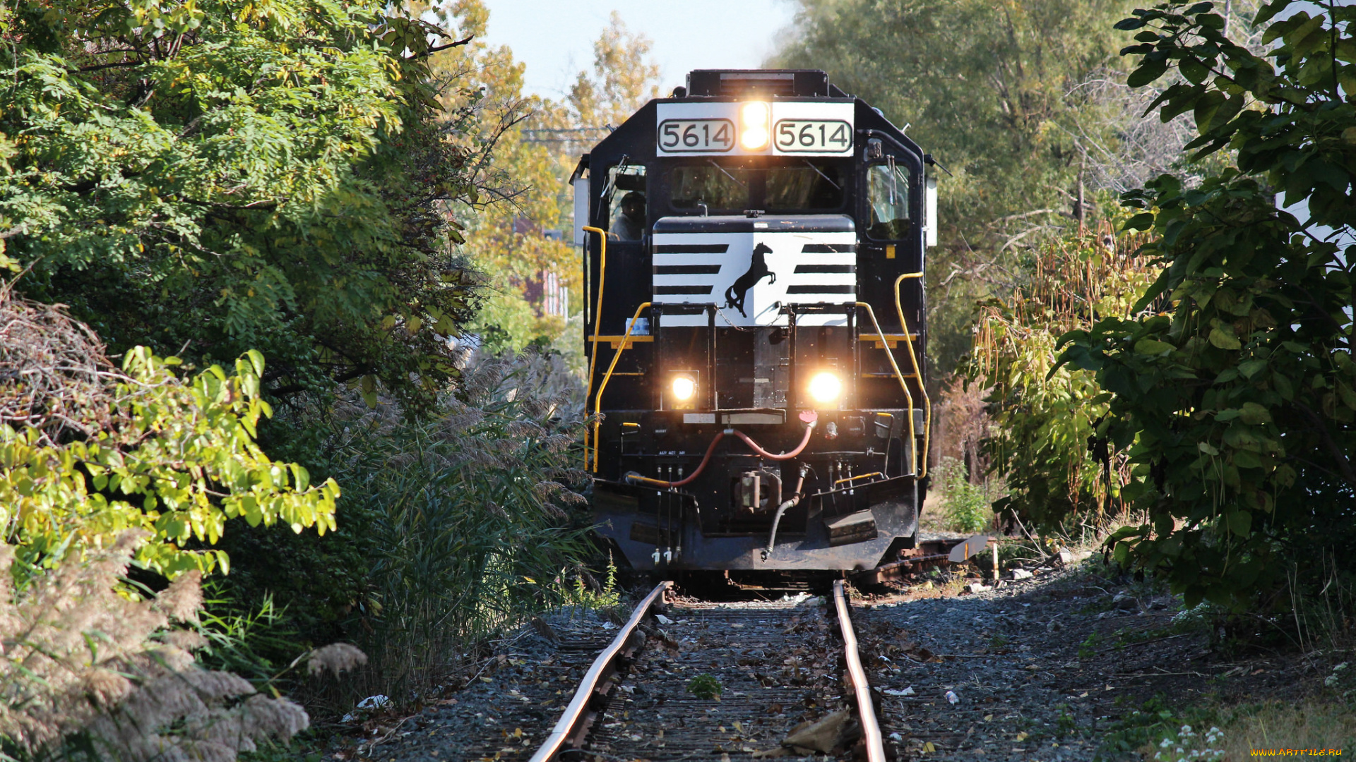 техника, поезда, локомотив, состав