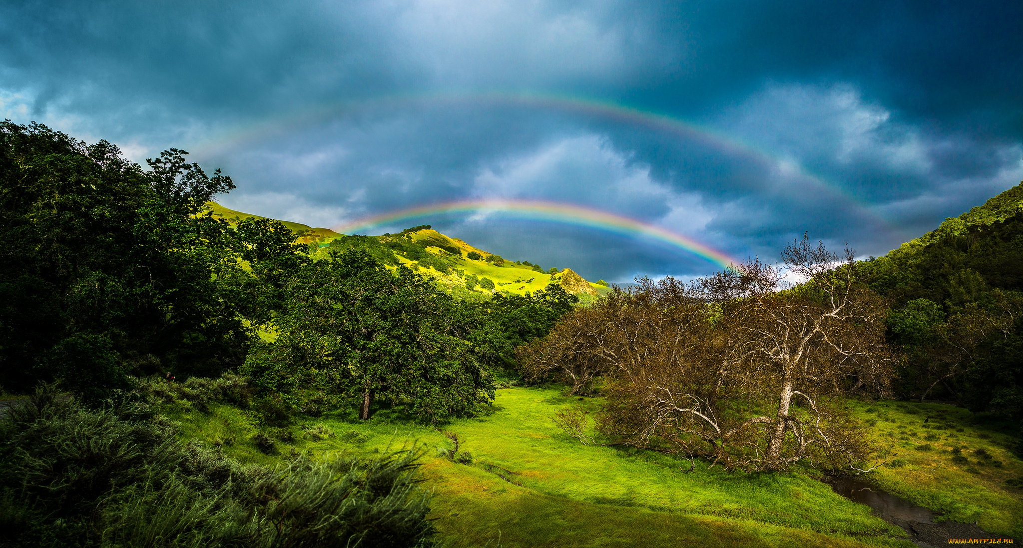 природа, радуга, простор