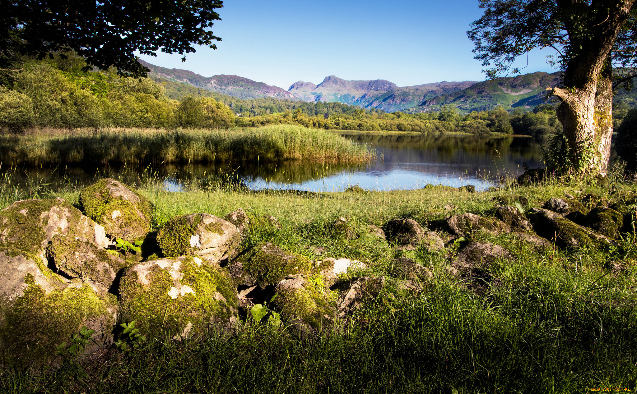 природа, реки, озера, простор