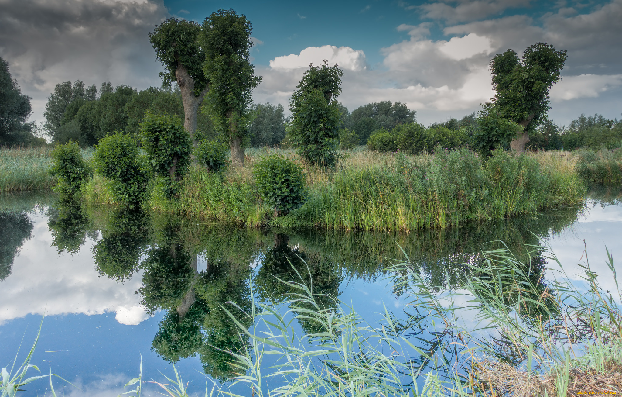 природа, реки, озера, простор