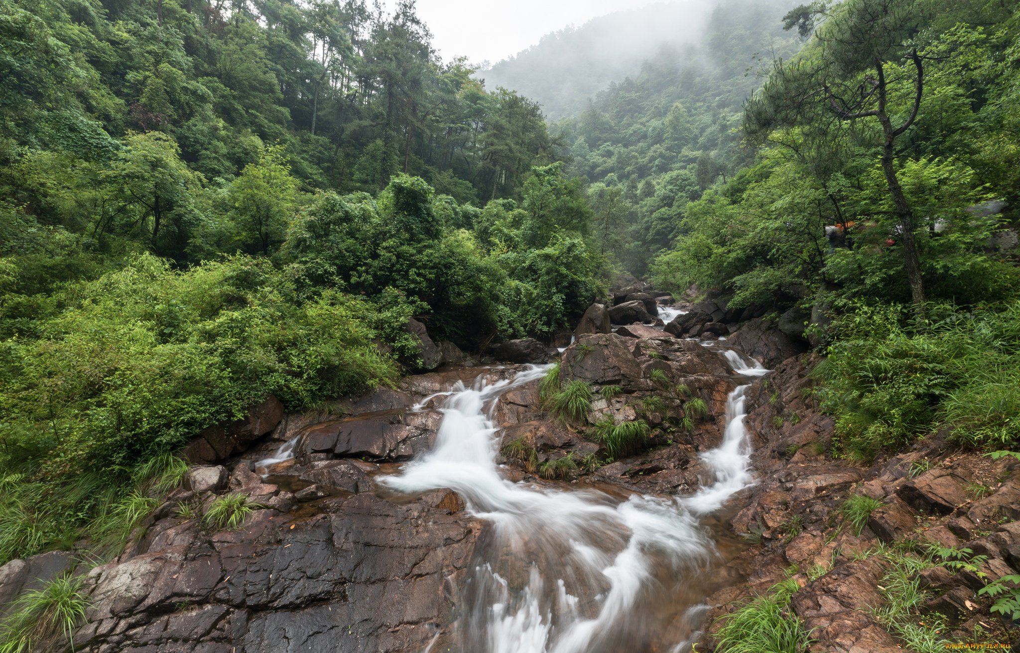 природа, реки, озера, простор