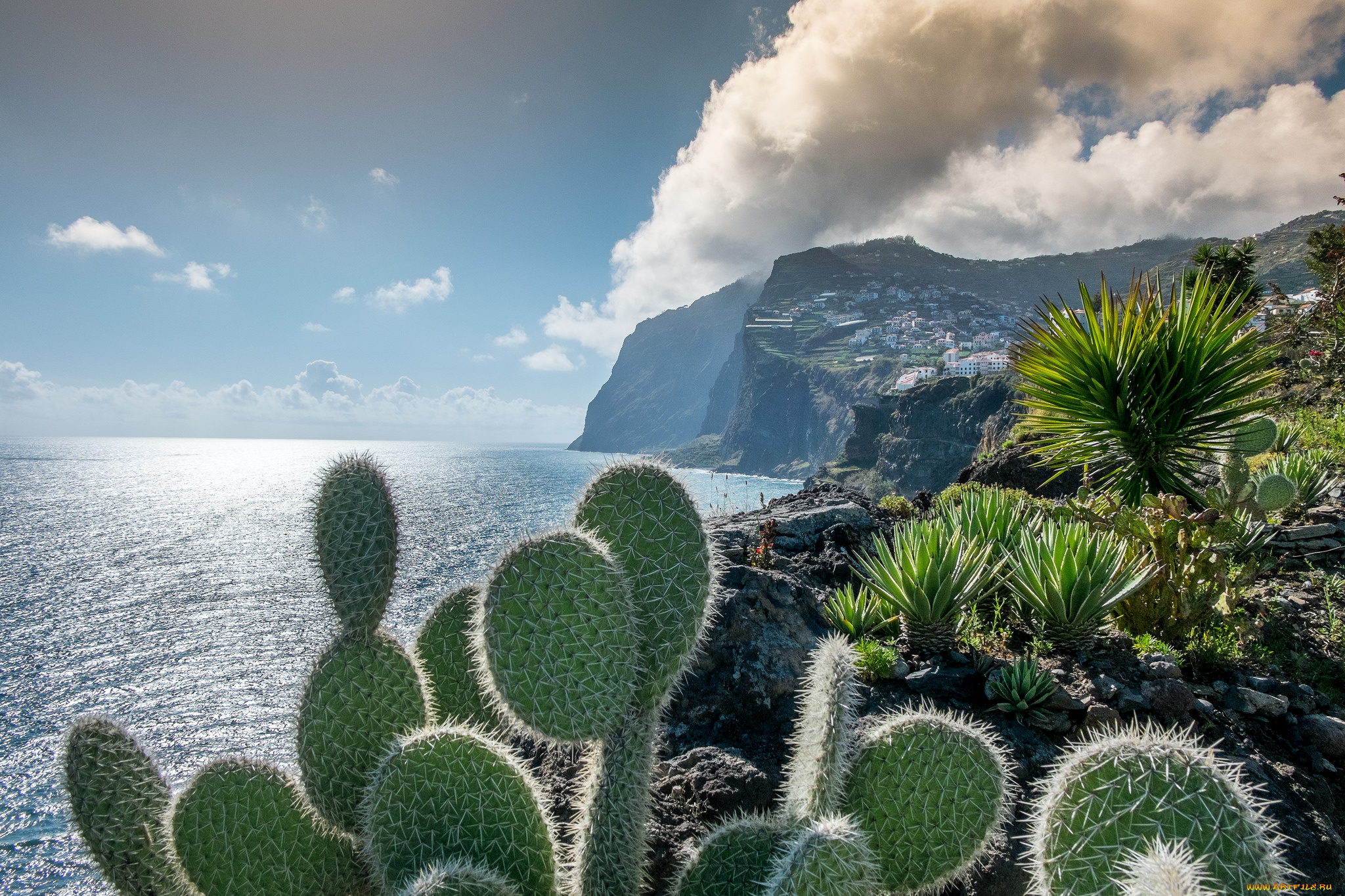 города, -, пейзажи, простор