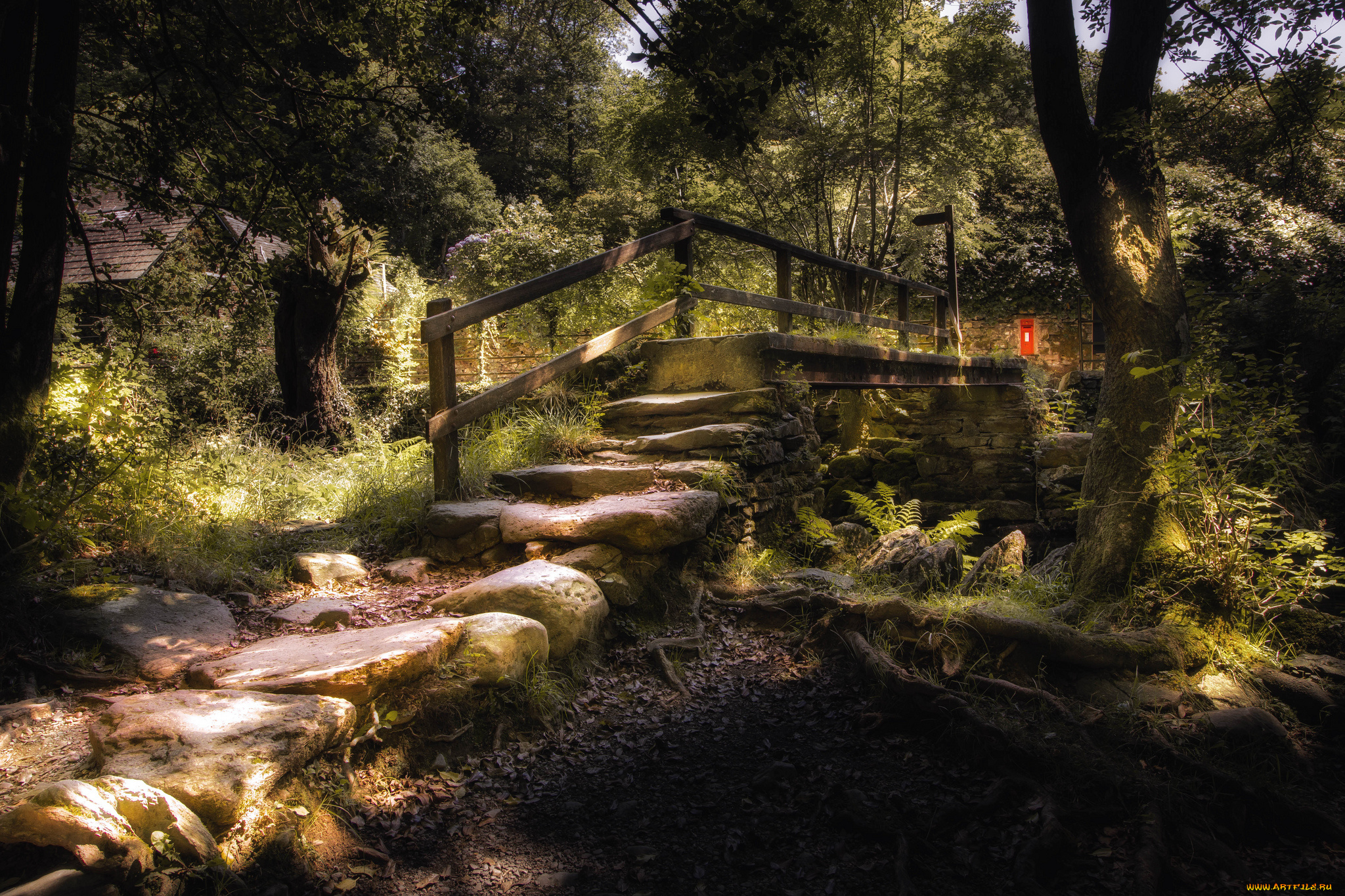 природа, дороги, простор