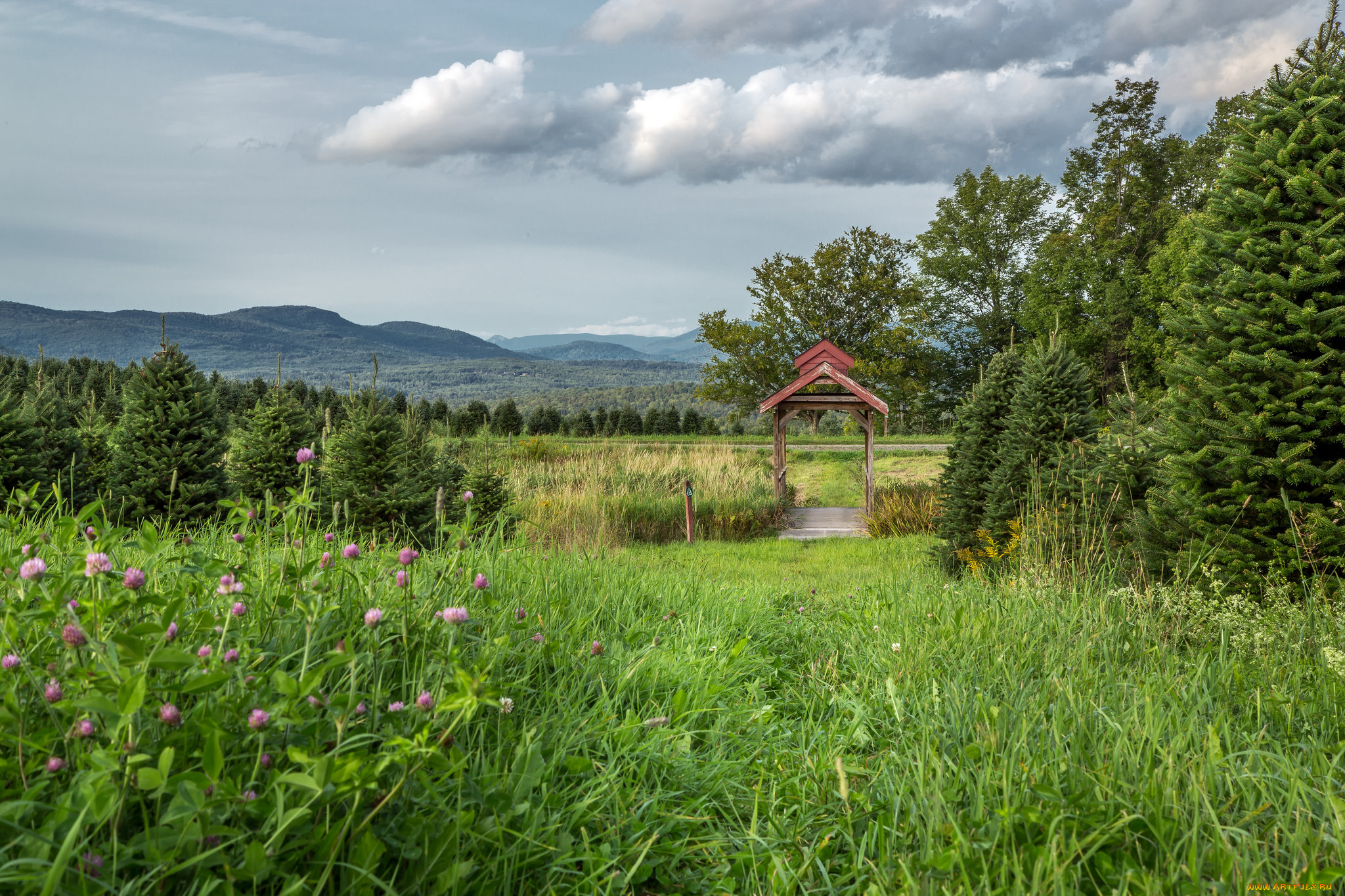 природа, пейзажи, простор