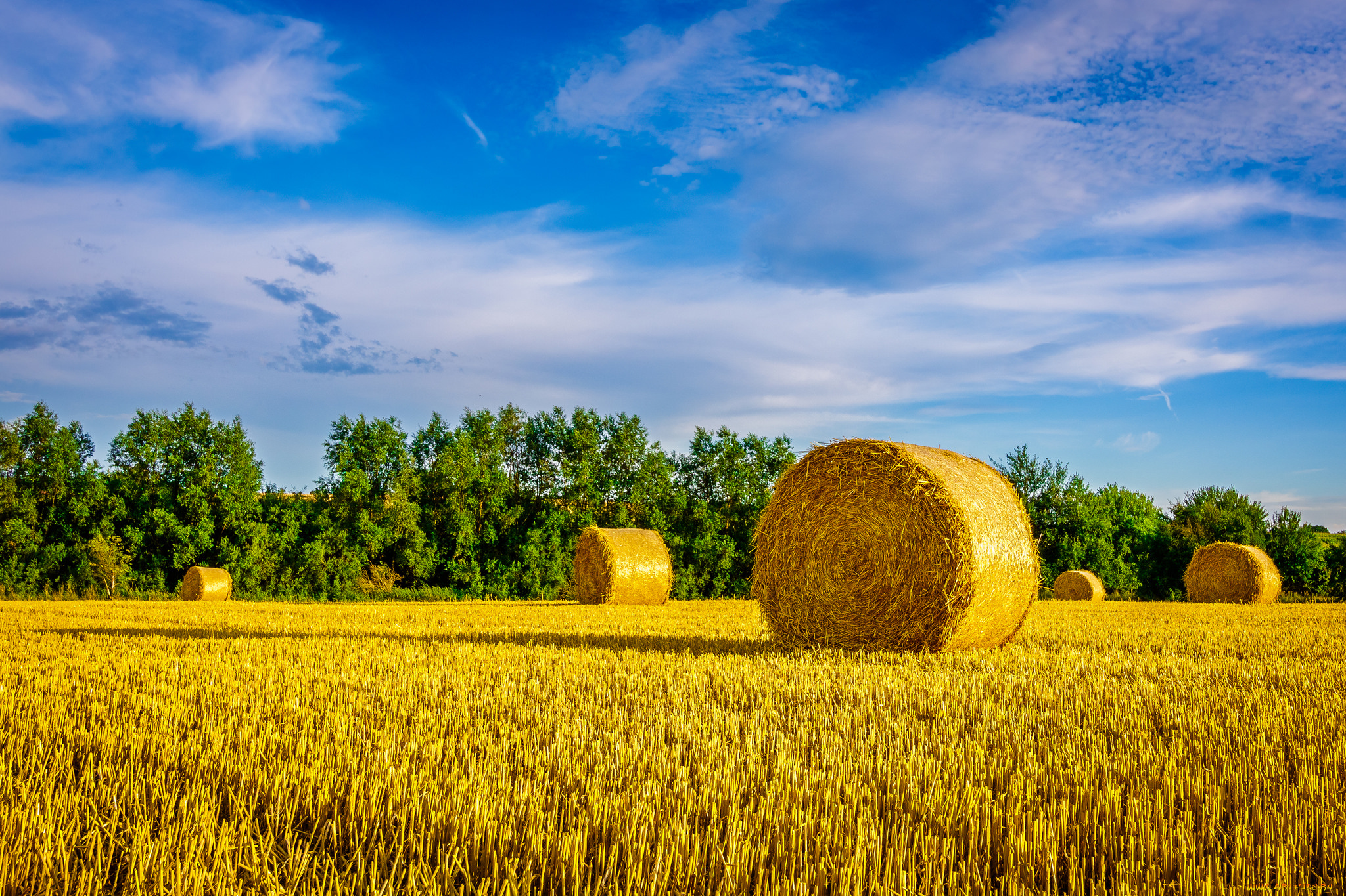 природа, поля, простор