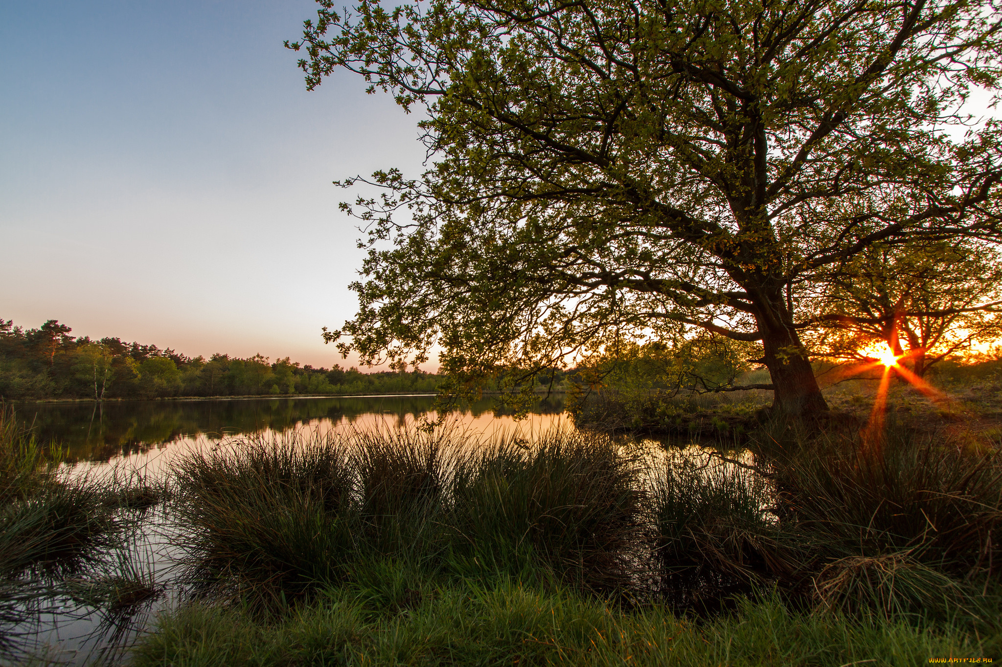 природа, реки, озера, простор