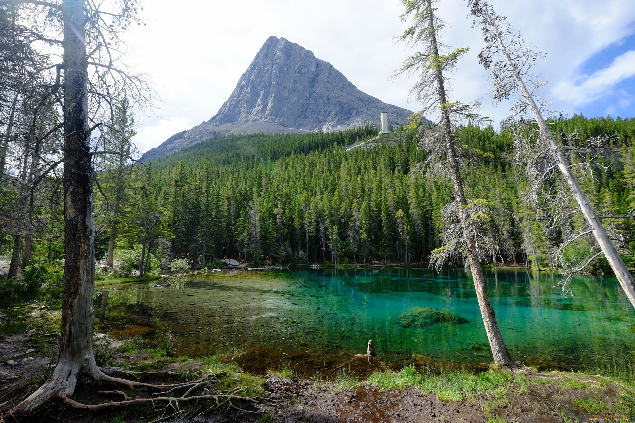 природа, реки, озера, простор