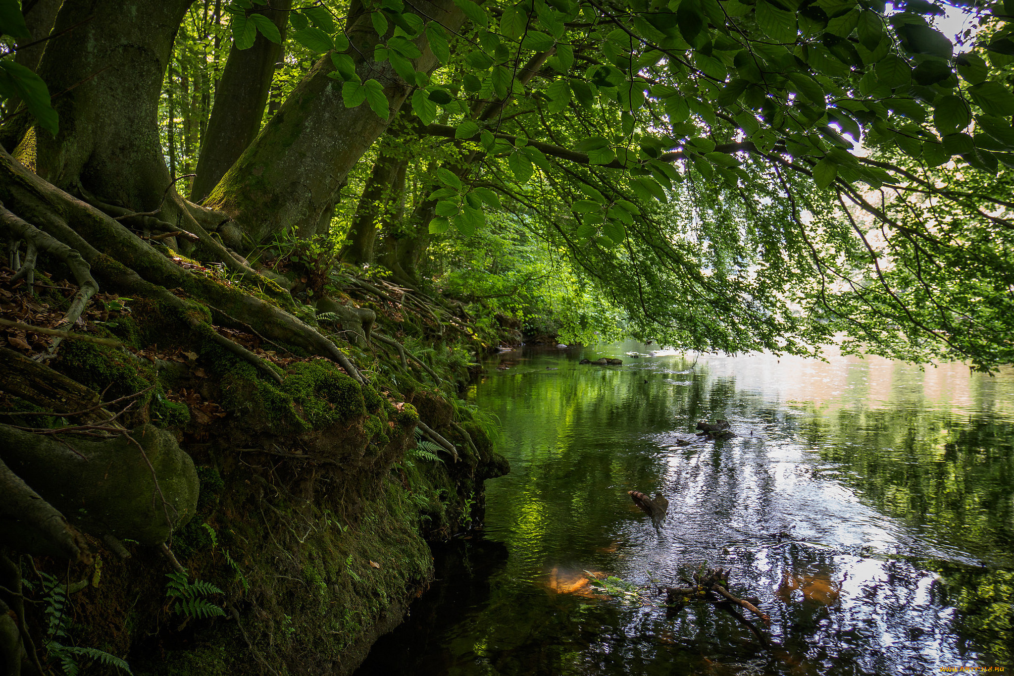 природа, реки, озера, простор