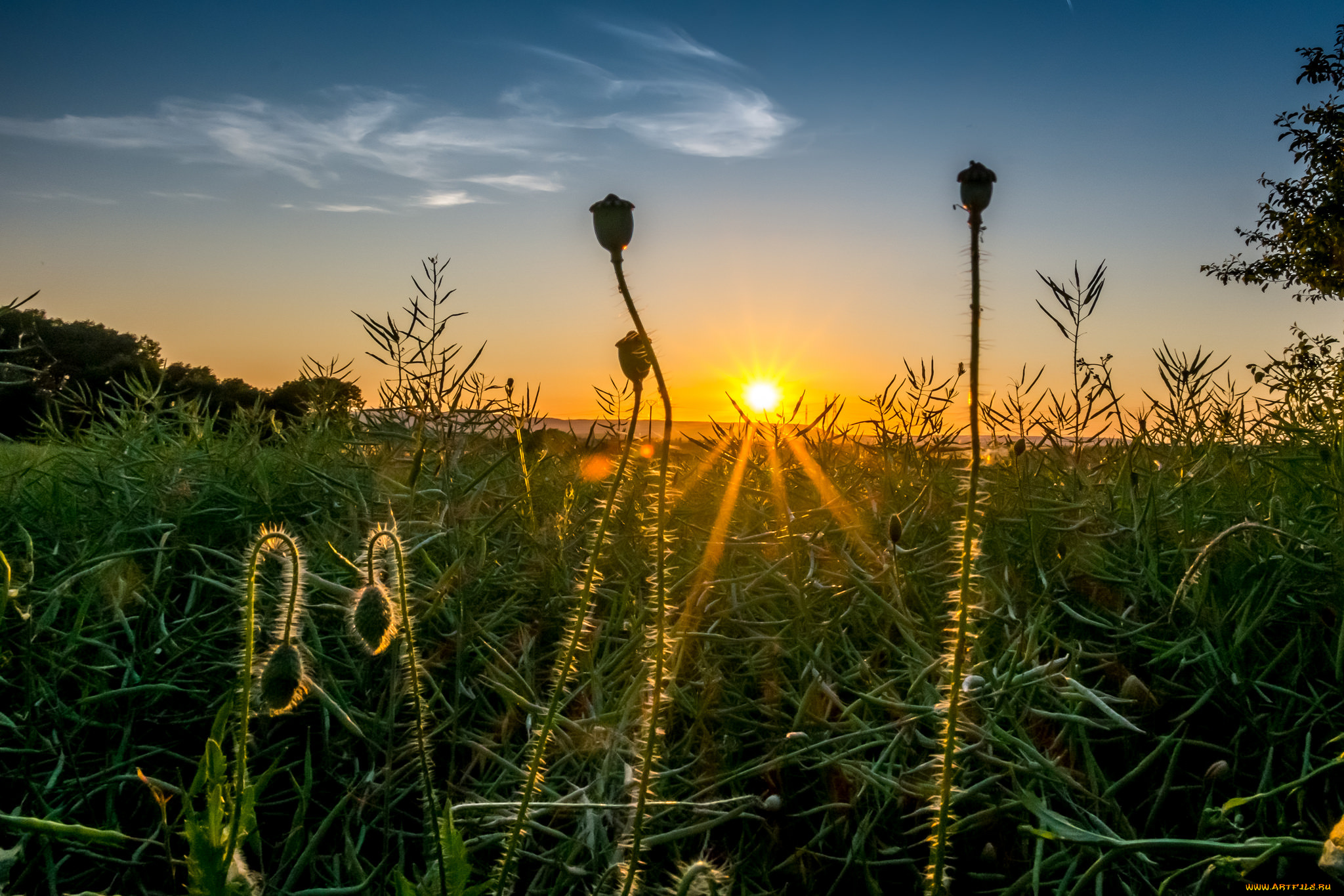 природа, восходы, закаты, простор