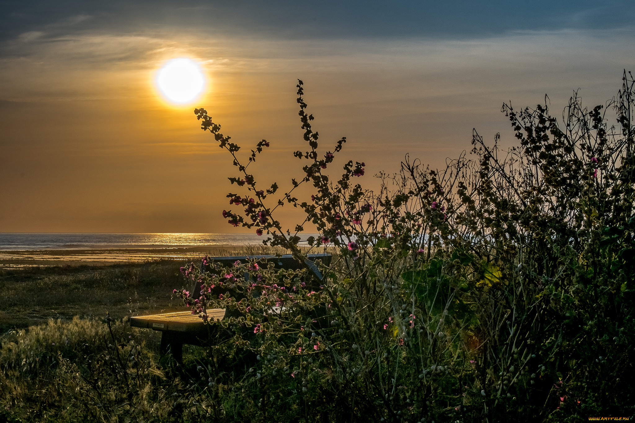 природа, восходы, закаты, простор