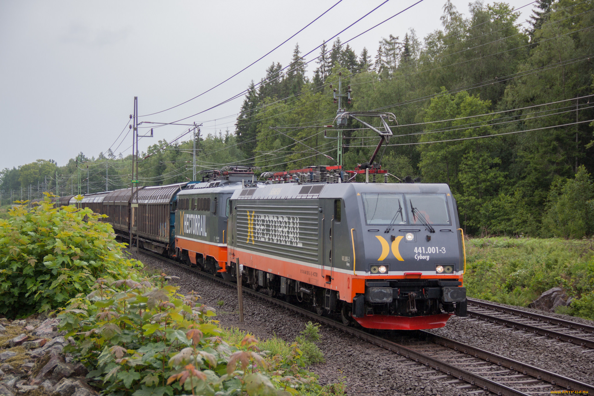 техника, электровозы, состав, локомотив