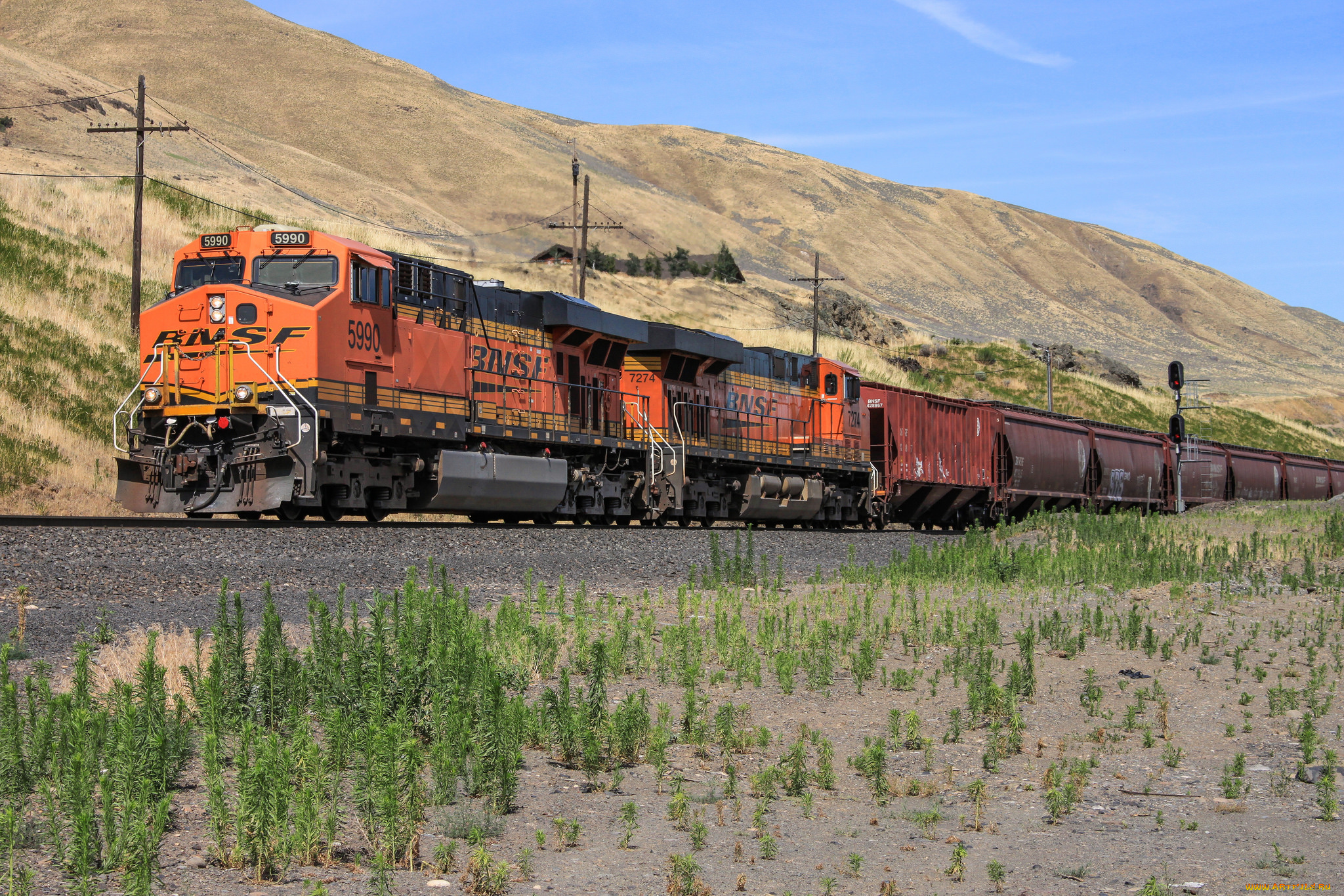 техника, поезда, локомотив, состав