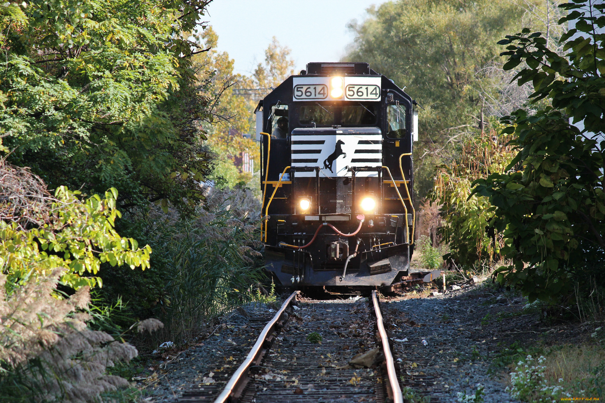 техника, поезда, локомотив, состав