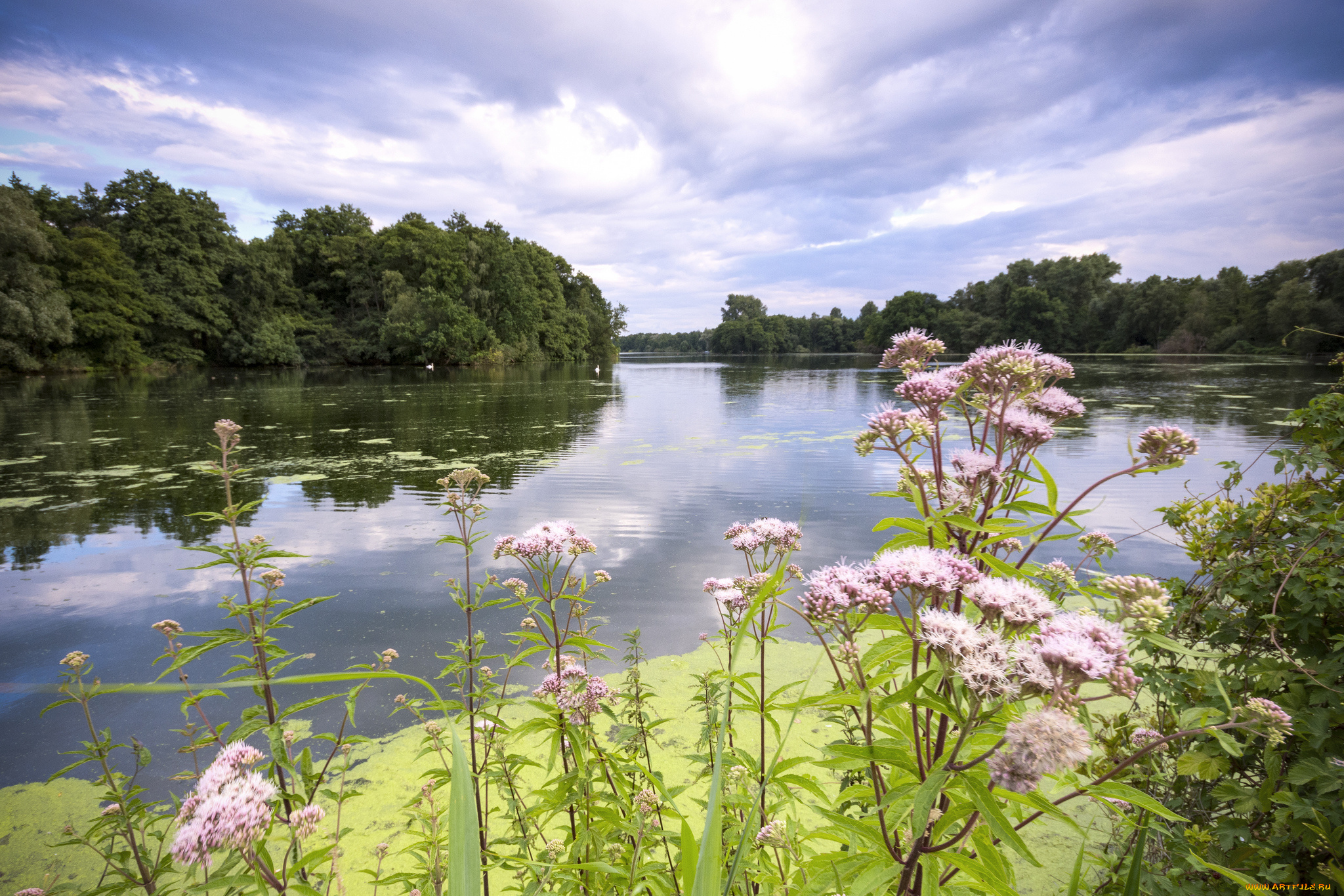 природа, реки, озера, простор