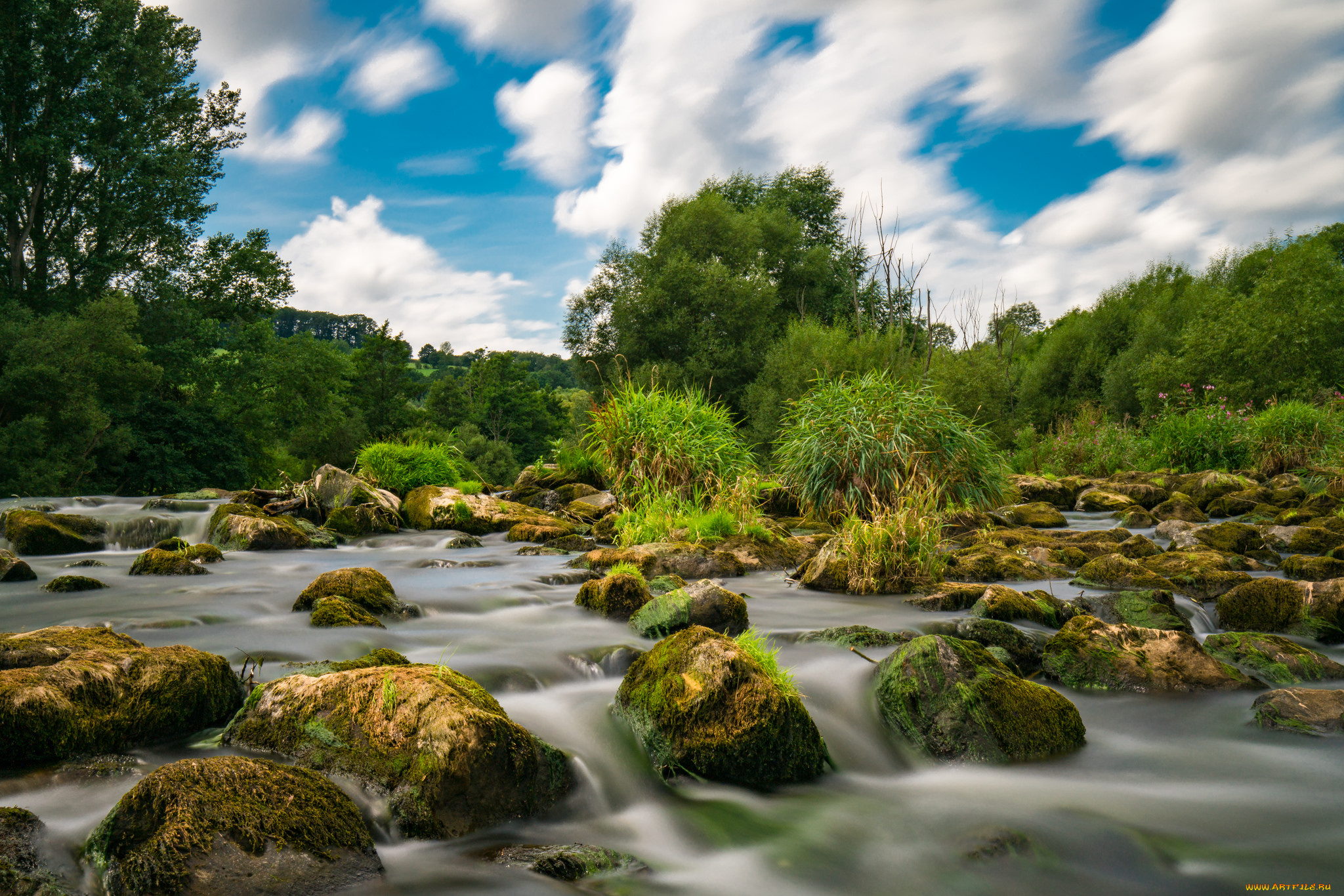 природа, реки, озера, простор