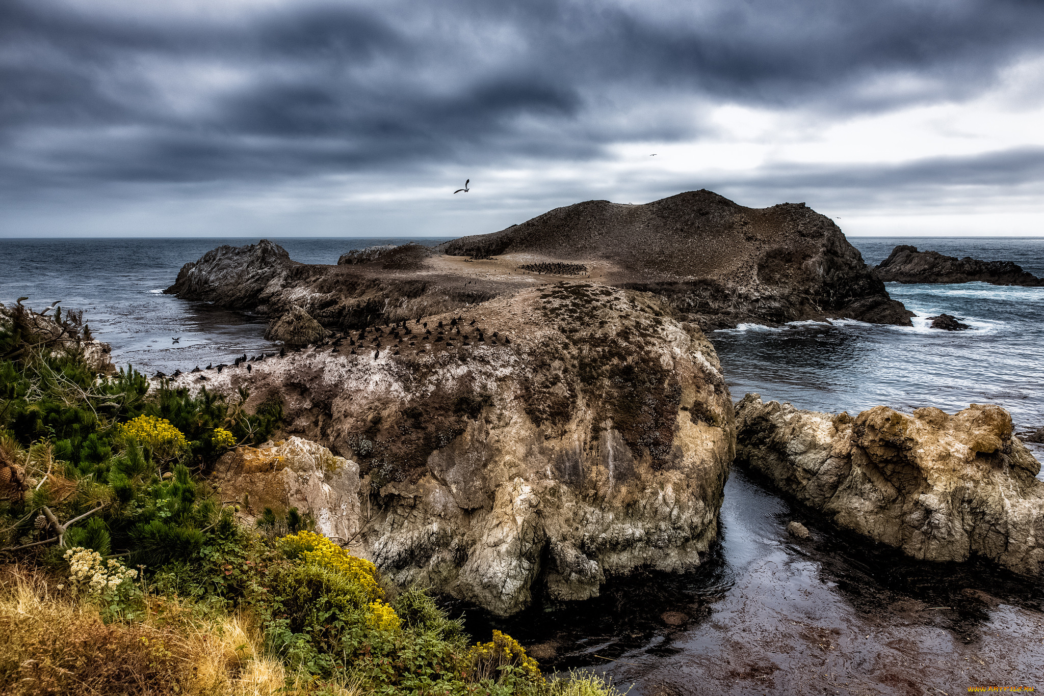 природа, побережье, простор