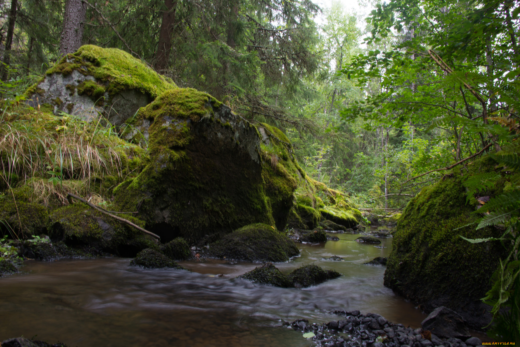 природа, реки, озера, простор