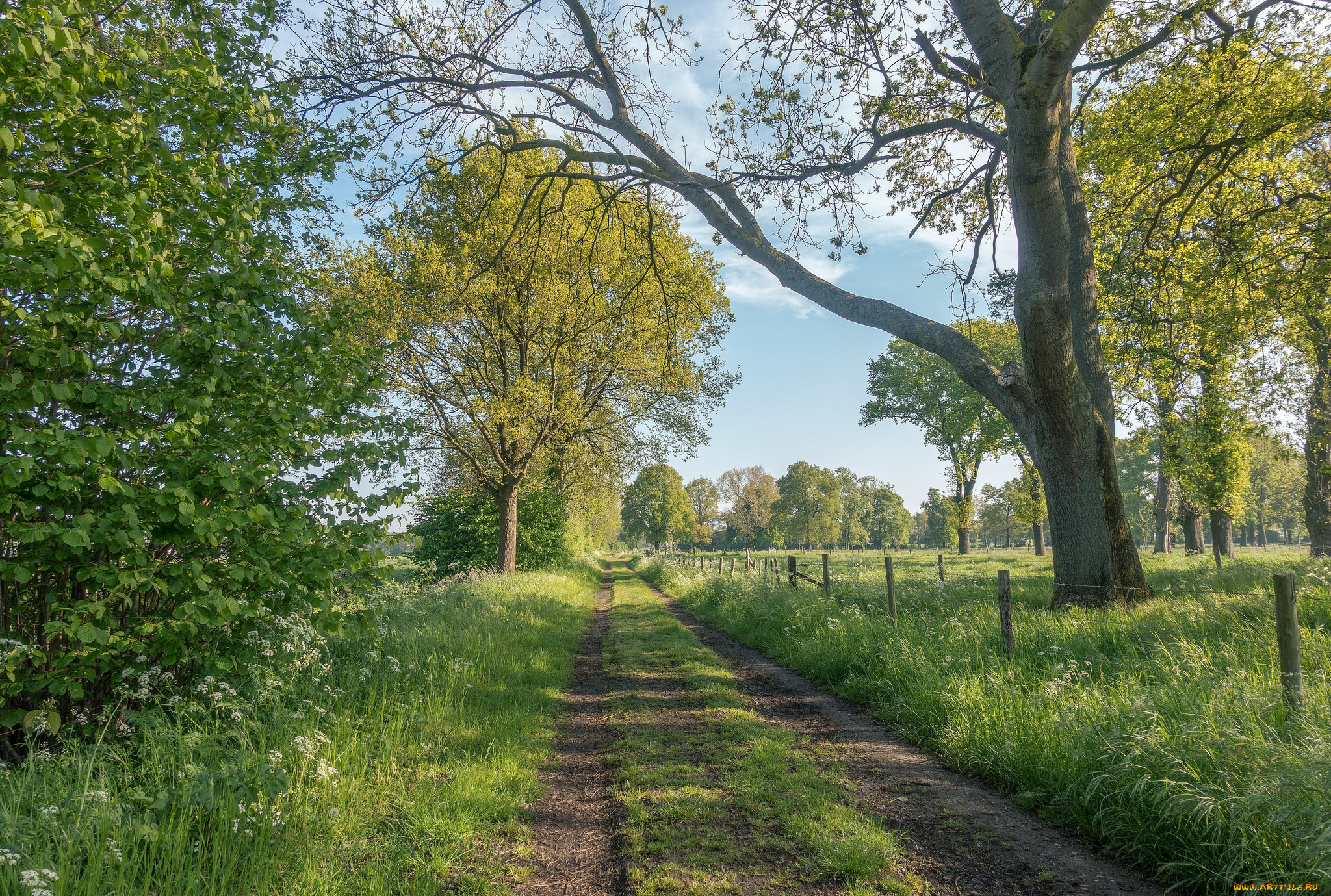 природа, дороги, простор
