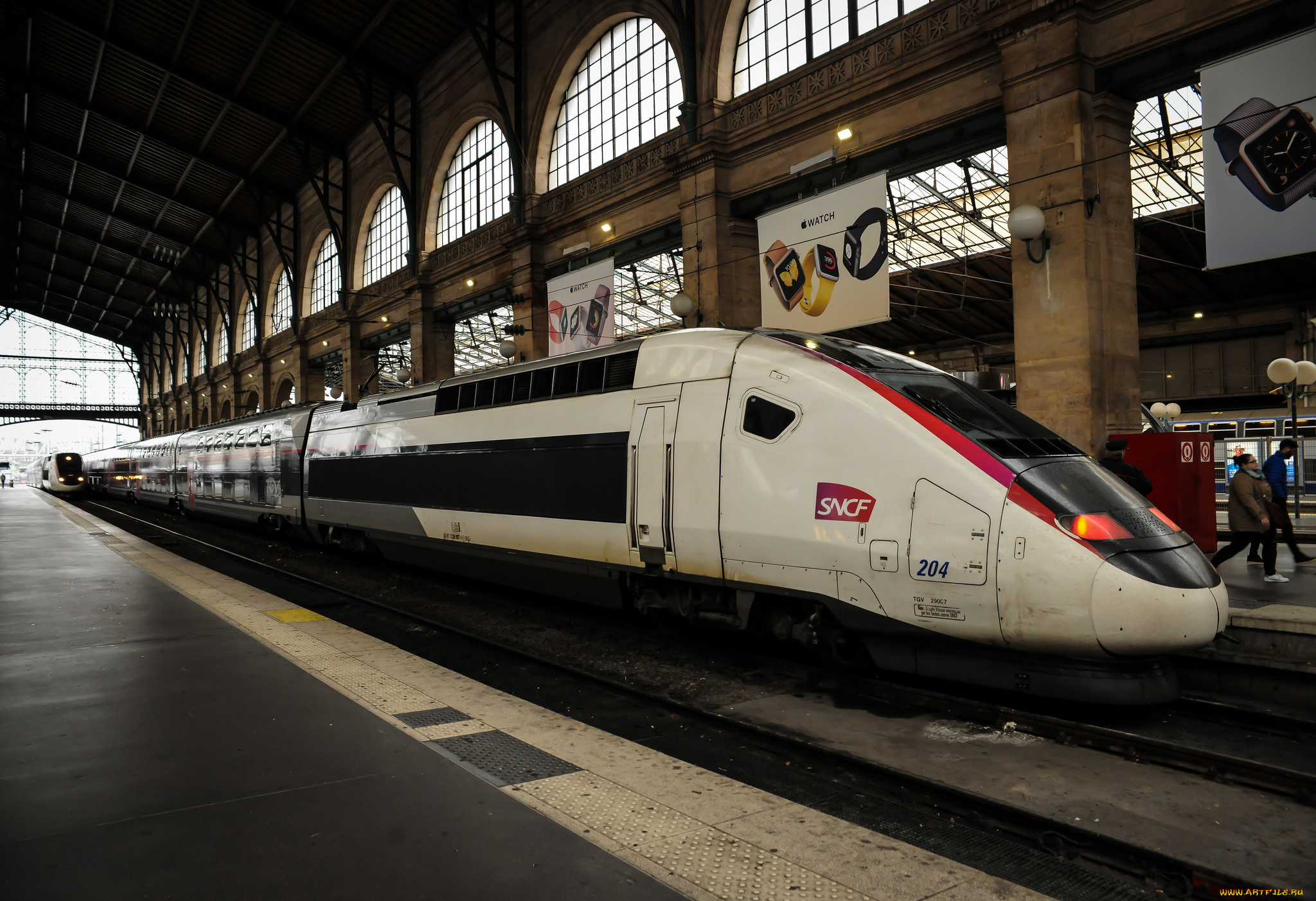 техника, поезда, локомотив, состав