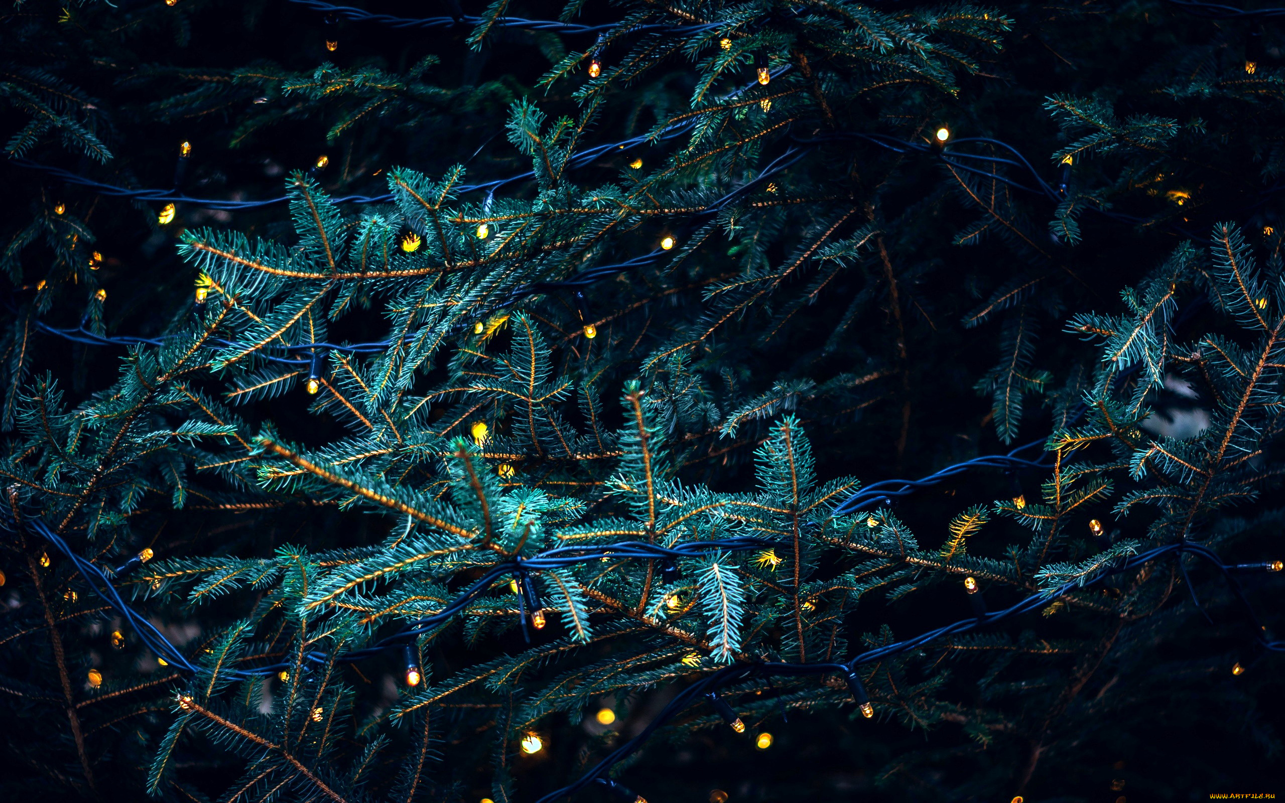 праздничные, Ёлки, гирлянда, елка