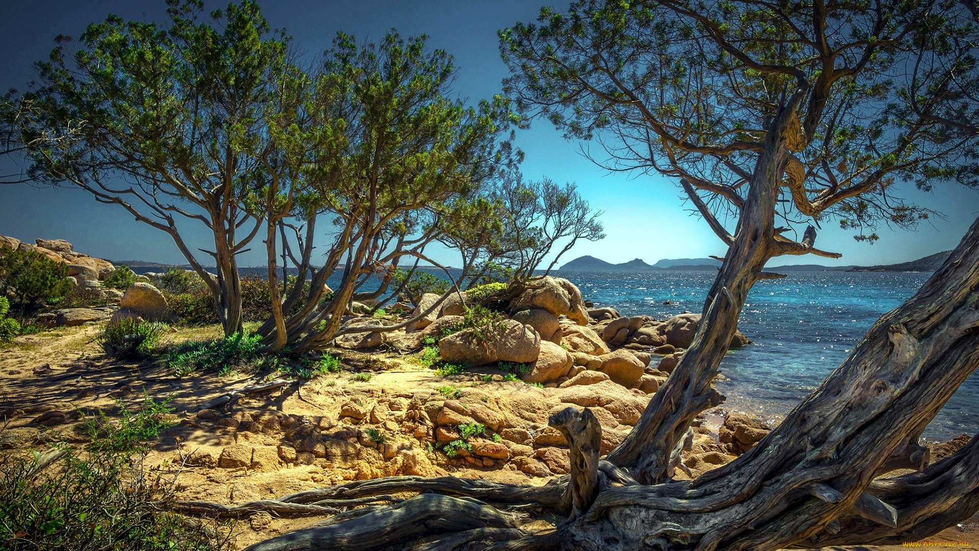 the, coast, of, olbia, sardinia, island, italy, природа, побережье, the, coast, of, olbia, sardinia, island
