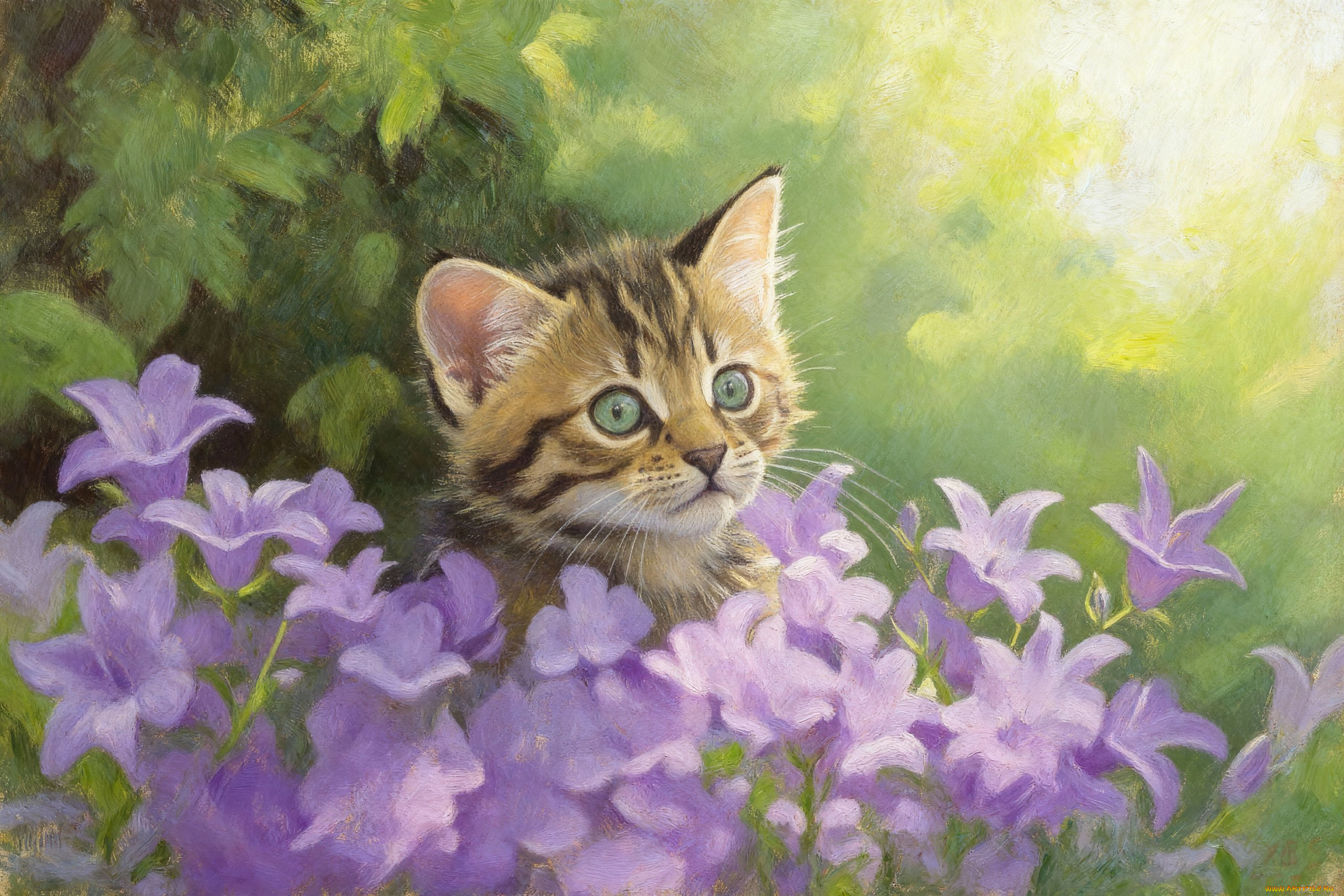 рисованное, животные, , коты, кот, кошка