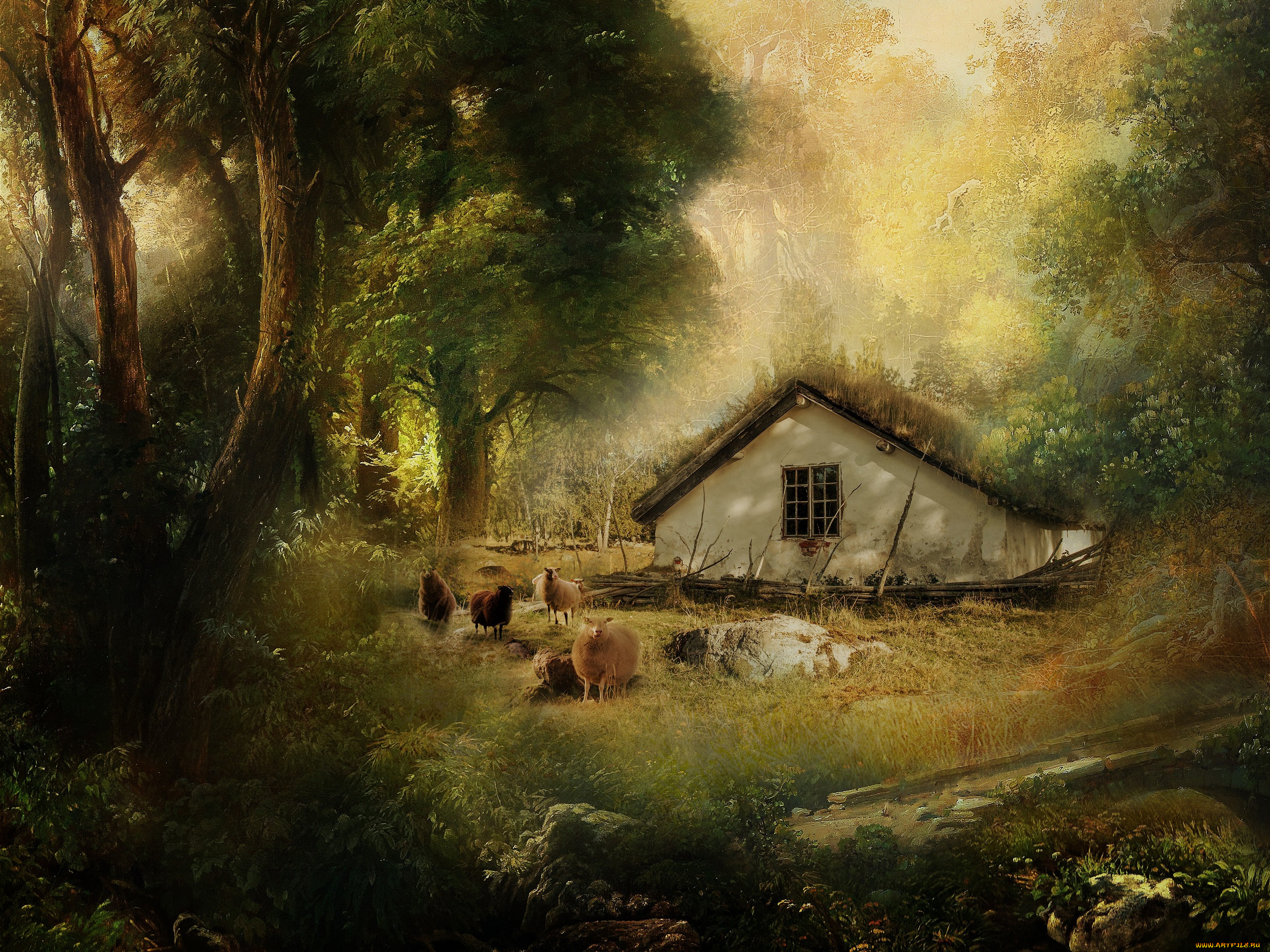 разное, компьютерный, дизайн, барашки