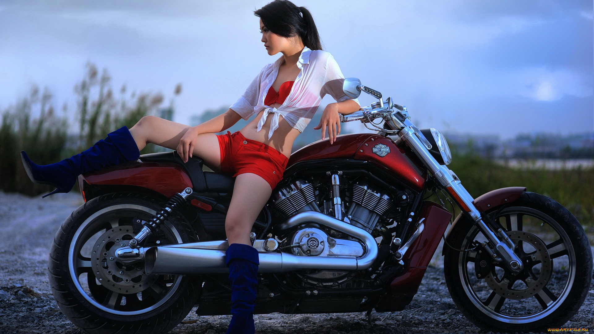 мотоциклы, мото, девушкой, harley, davidson