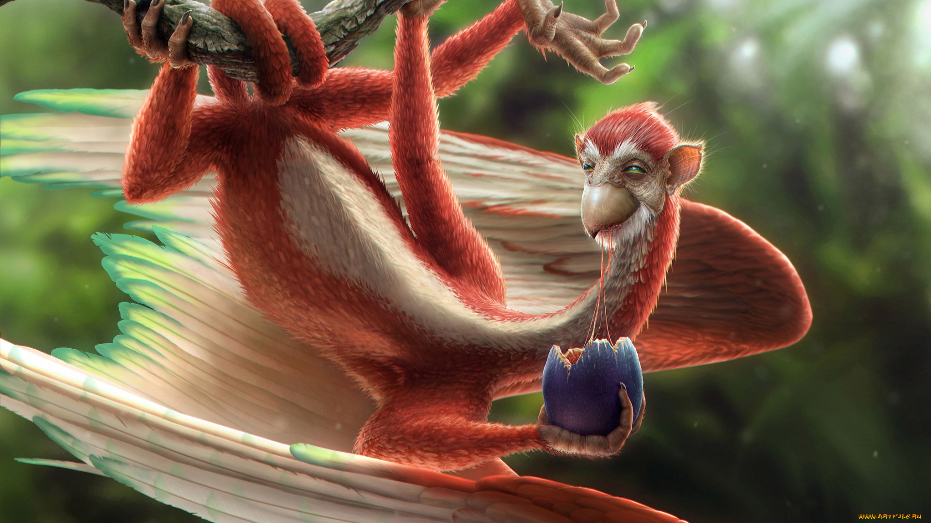 nate, hallinan, 3д, графика, creatures, существа, существо, обезьяна, птица, яйцо