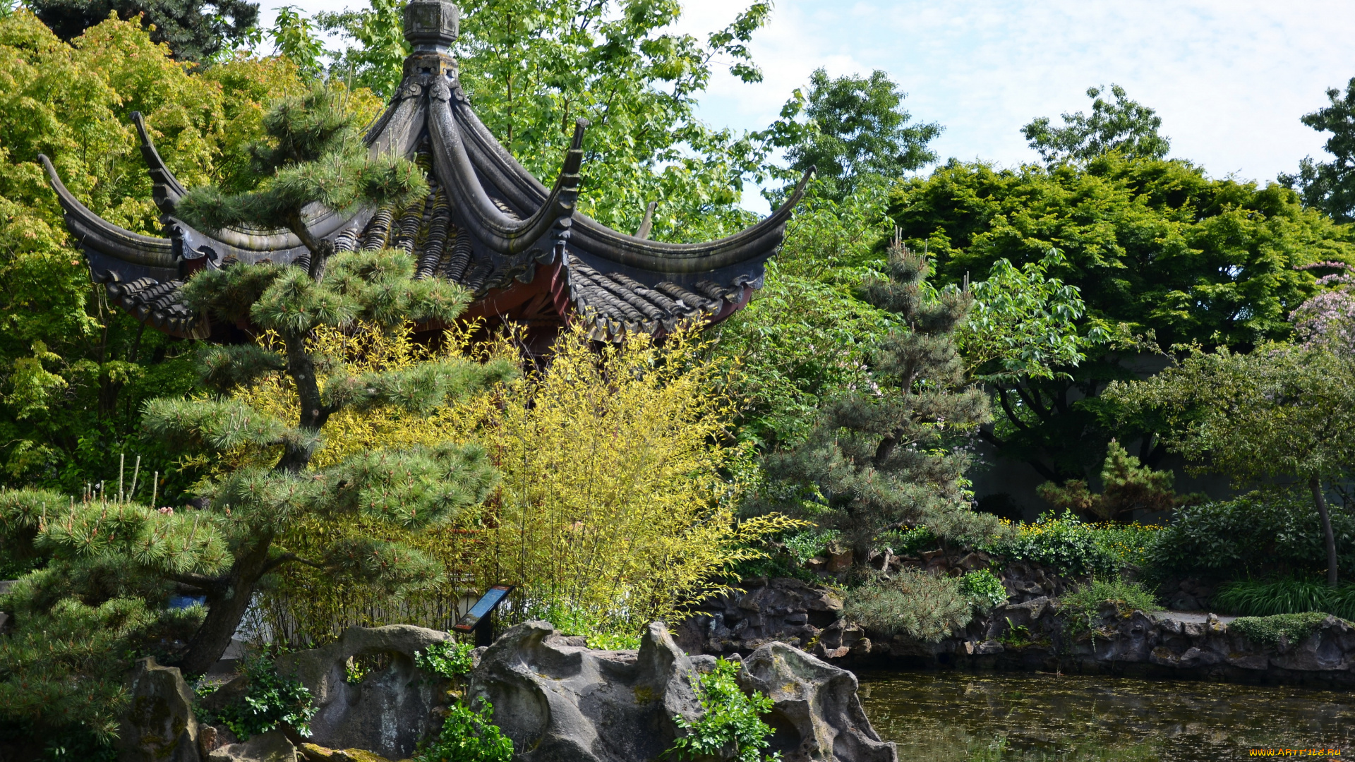 канада, sun, yat, sen, garden, vancouver, природа, парк, сад