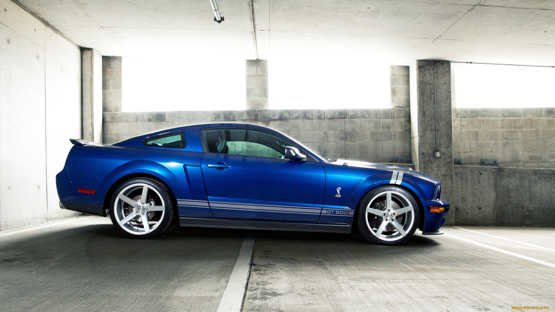 mustang, автомобили, мощь, скорость, красота, автомобиль