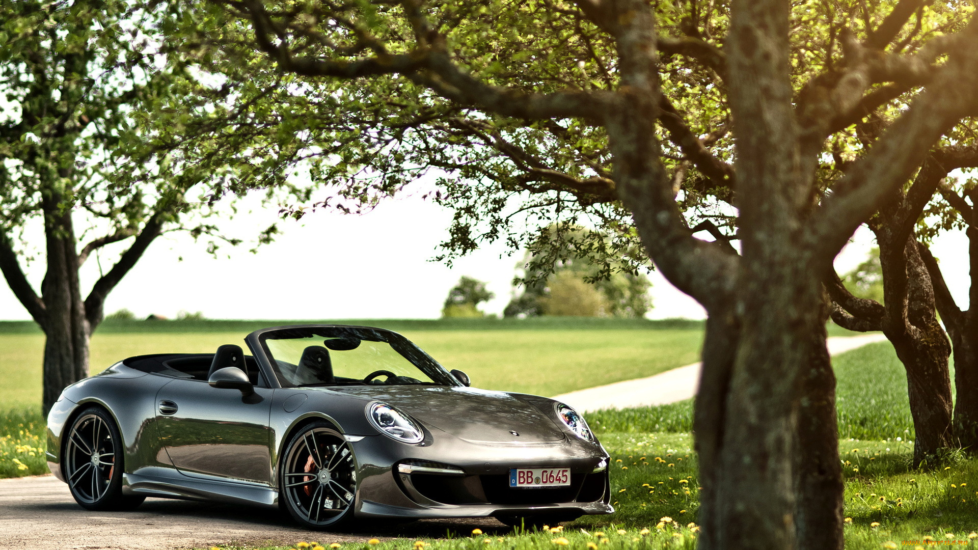 porsche, 911, carrera, автомобили, мощь, автомобиль, красота, скорость