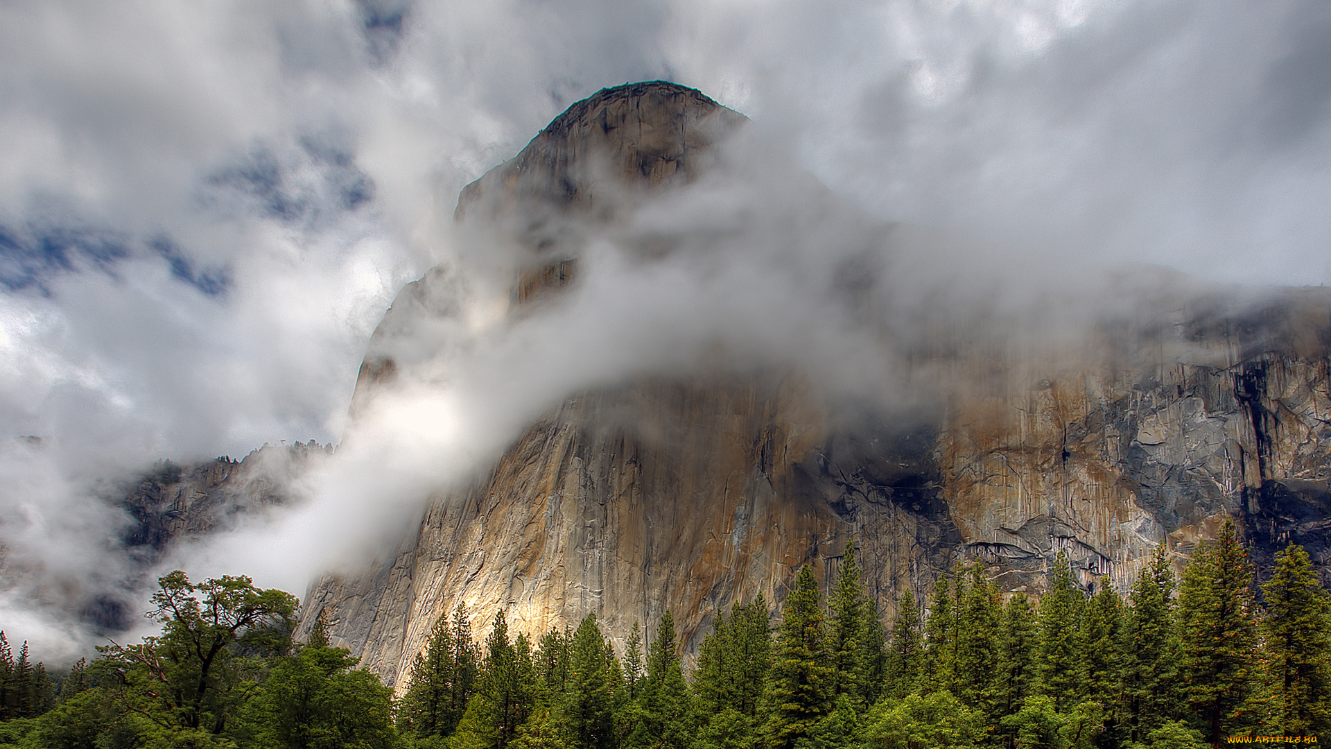 природа, горы, гора, туман, деревья