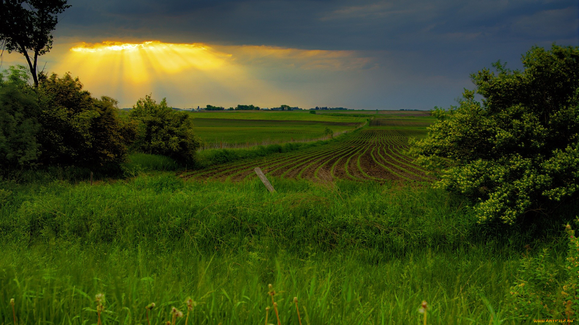 природа, поля, лучи, поле, солнце