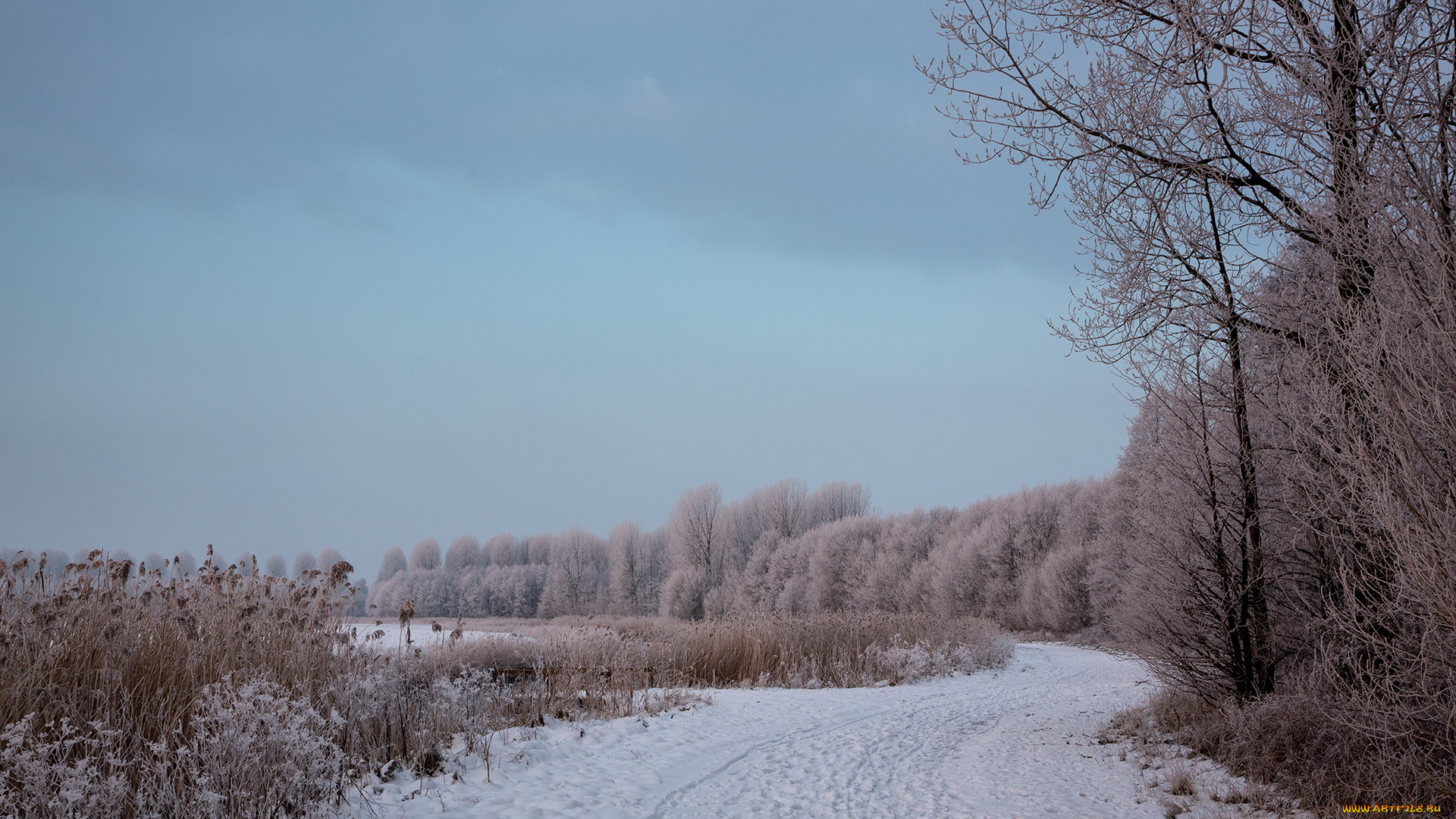 природа, зима, пейзаж