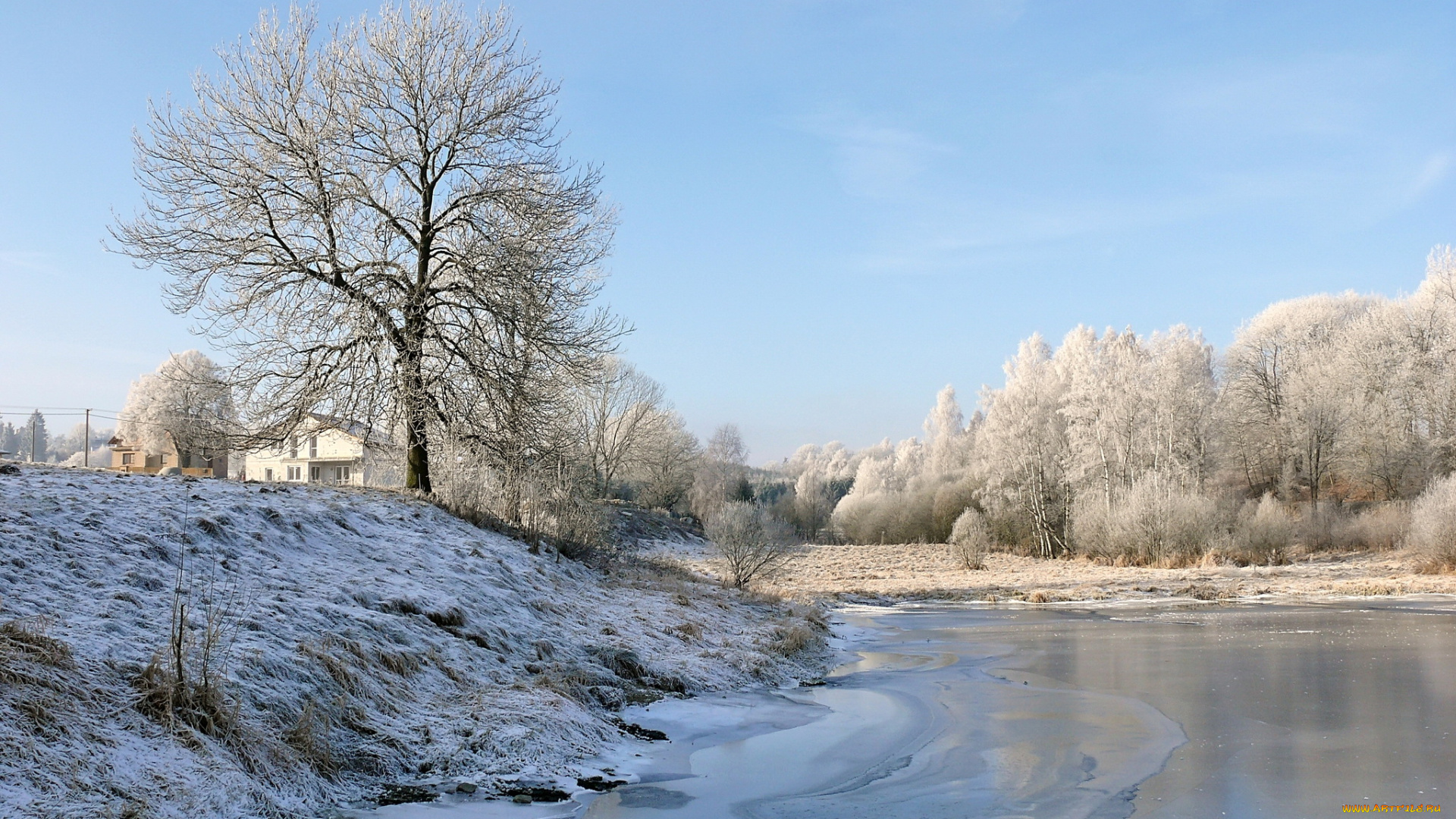 природа, зима, снег