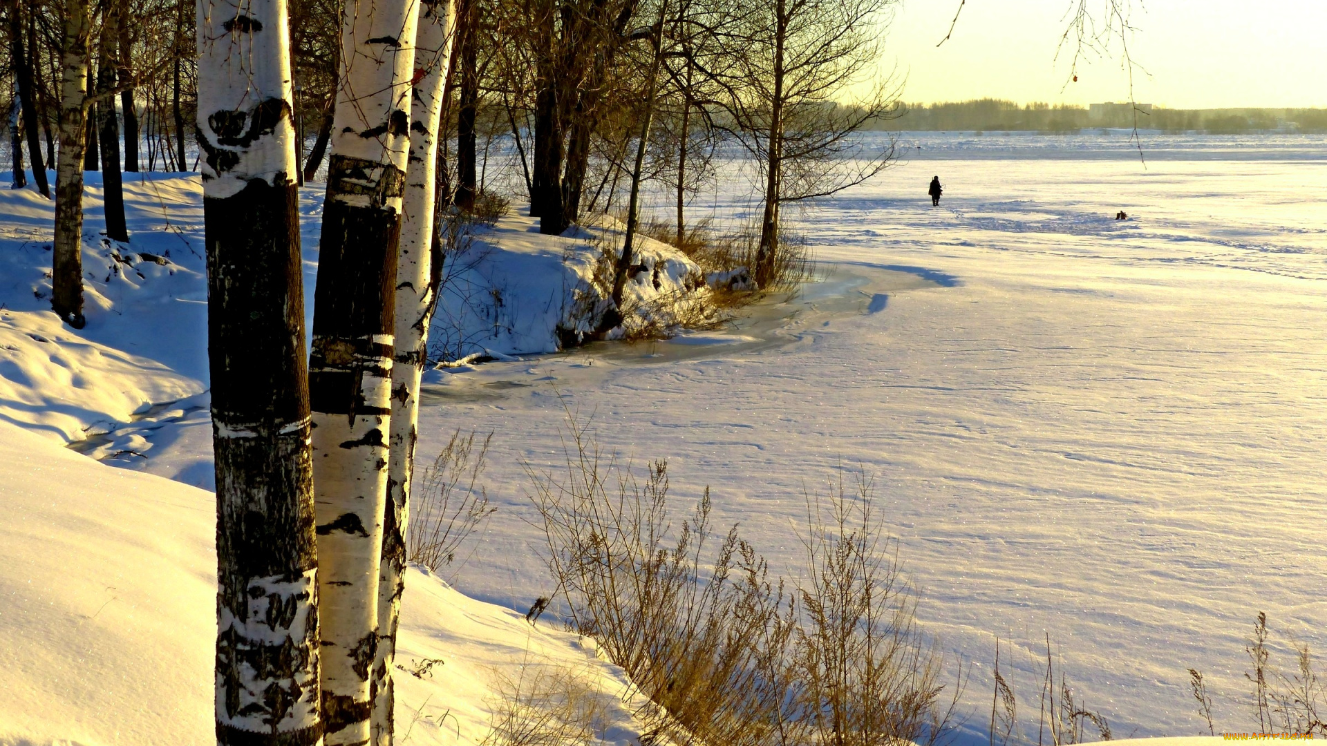 природа, зима, снег, деревья