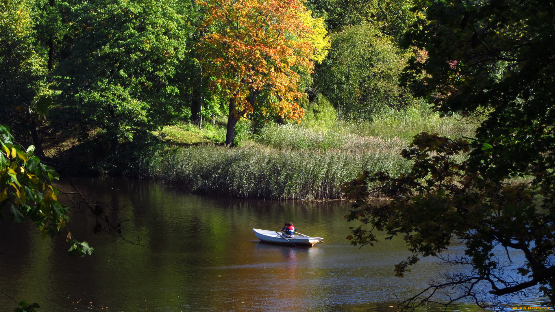 санкт, петербург, ораниенбаум, природа, реки, озера, река, парк