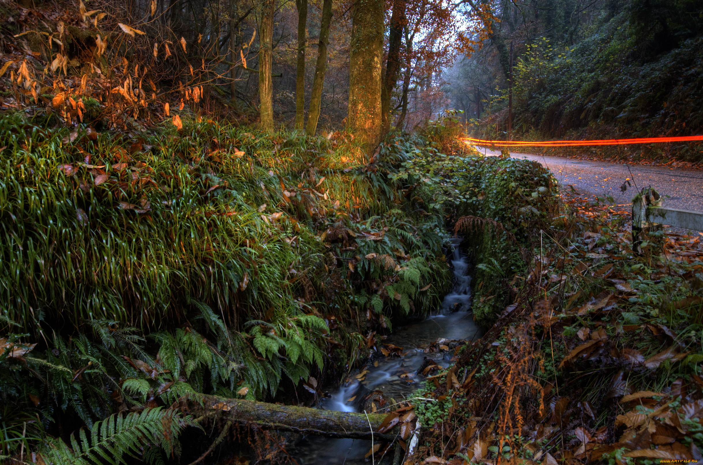 bucks, mills, england, природа, дороги, лес, дорога