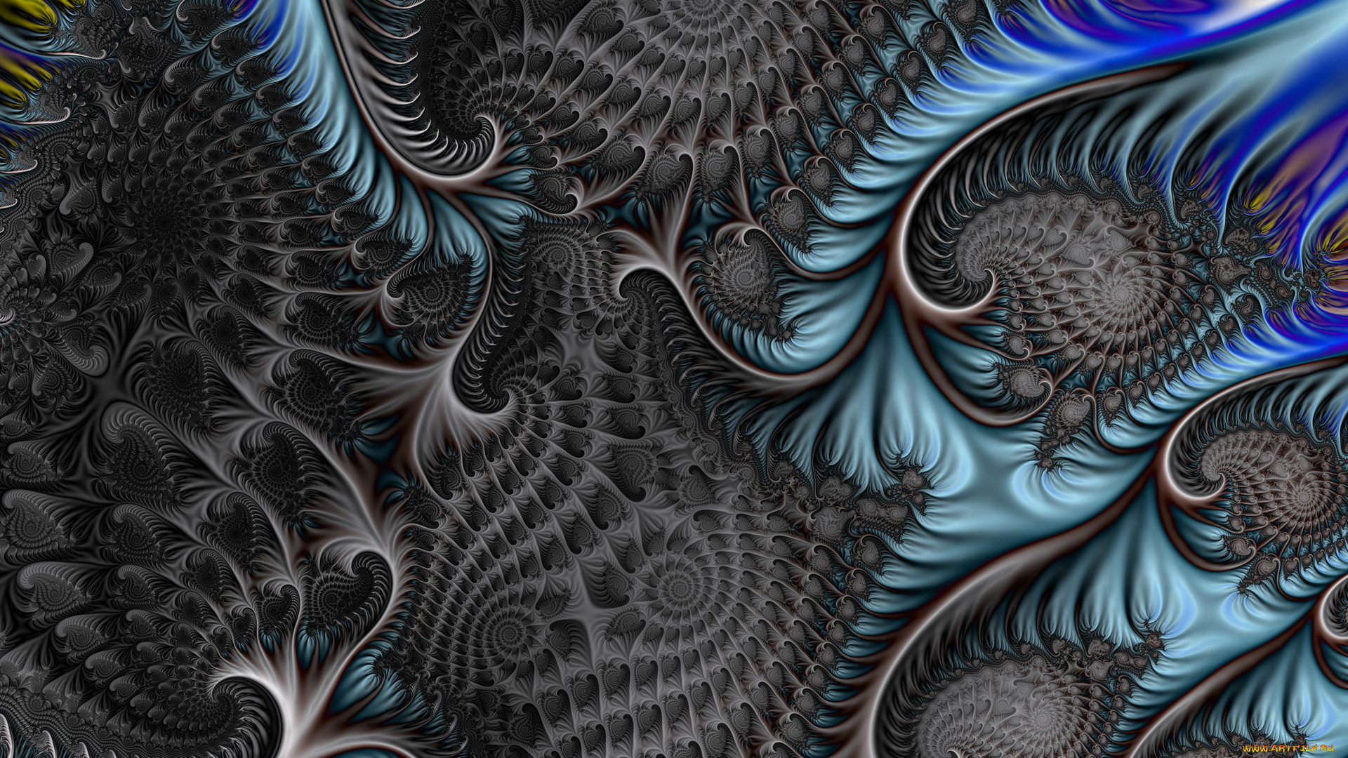 3д, графика, fractal, , фракталы, узор, цвета, фон