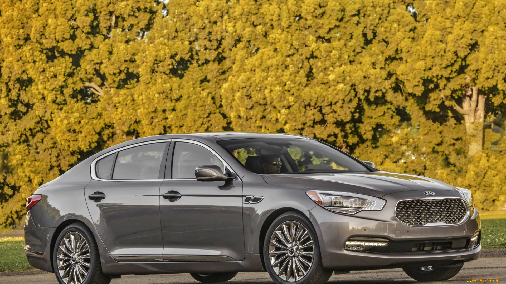 автомобили, kia, k900, 2014